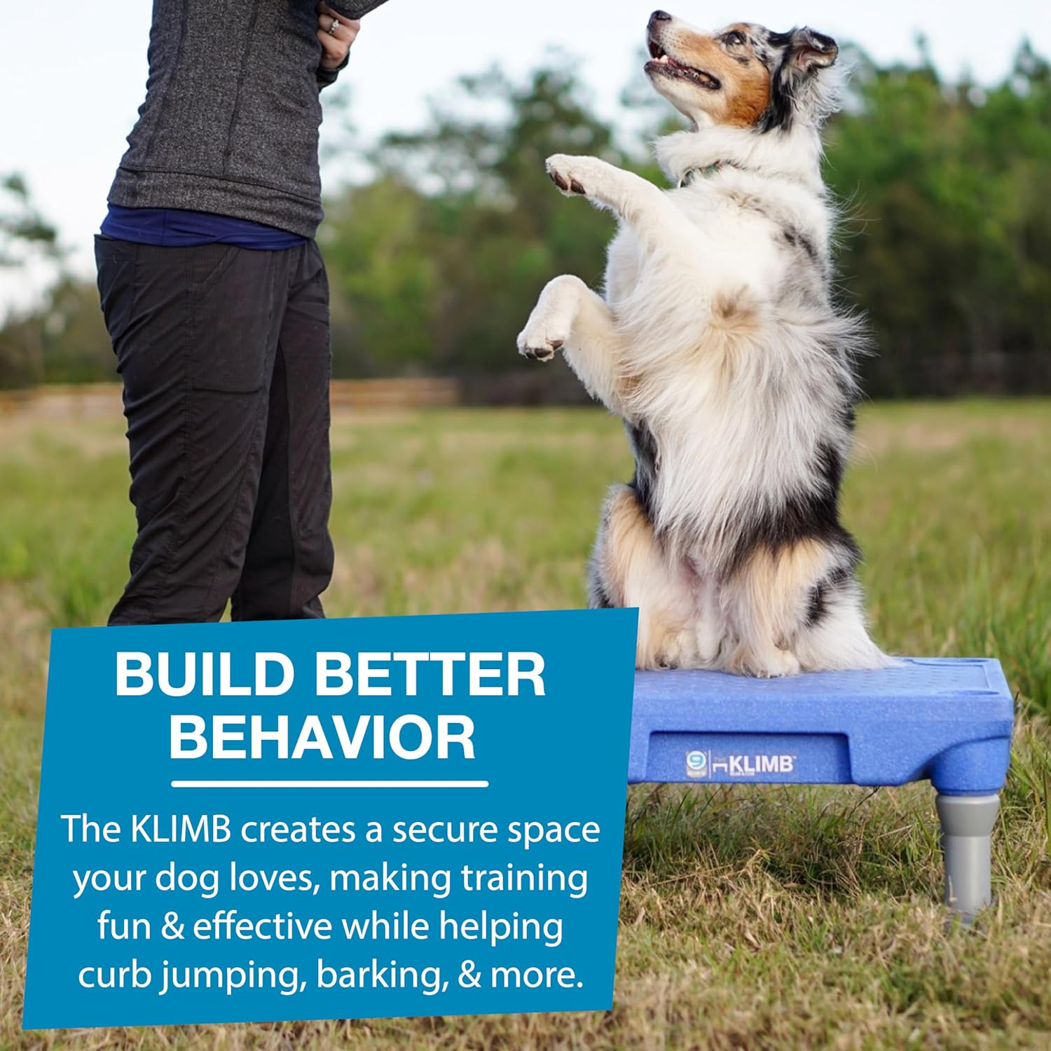Blue-9 Happy Dog Starter Bundle with KLIMB Dog Training Platform & Traction Mat and Inspire Training Treat Pouch & Training Treats, Blue