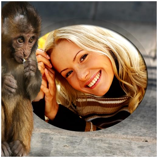 Funny Monkey Photo Frames