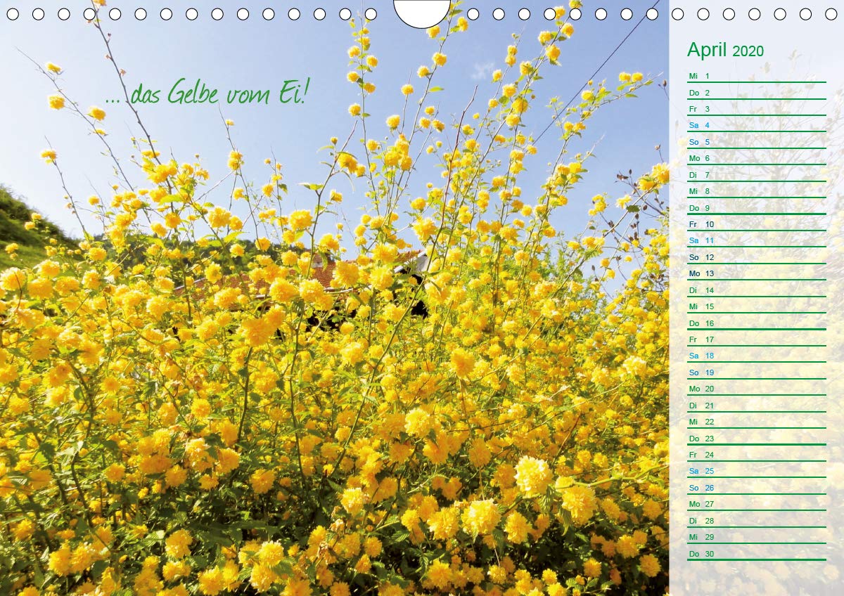 "Du bist wie..." (Wandkalender 2020 DIN A4 quer): Geschenkekalender & Planer (Geburtstagskalender, 14 Seiten ) (CALVENDO Kunst)