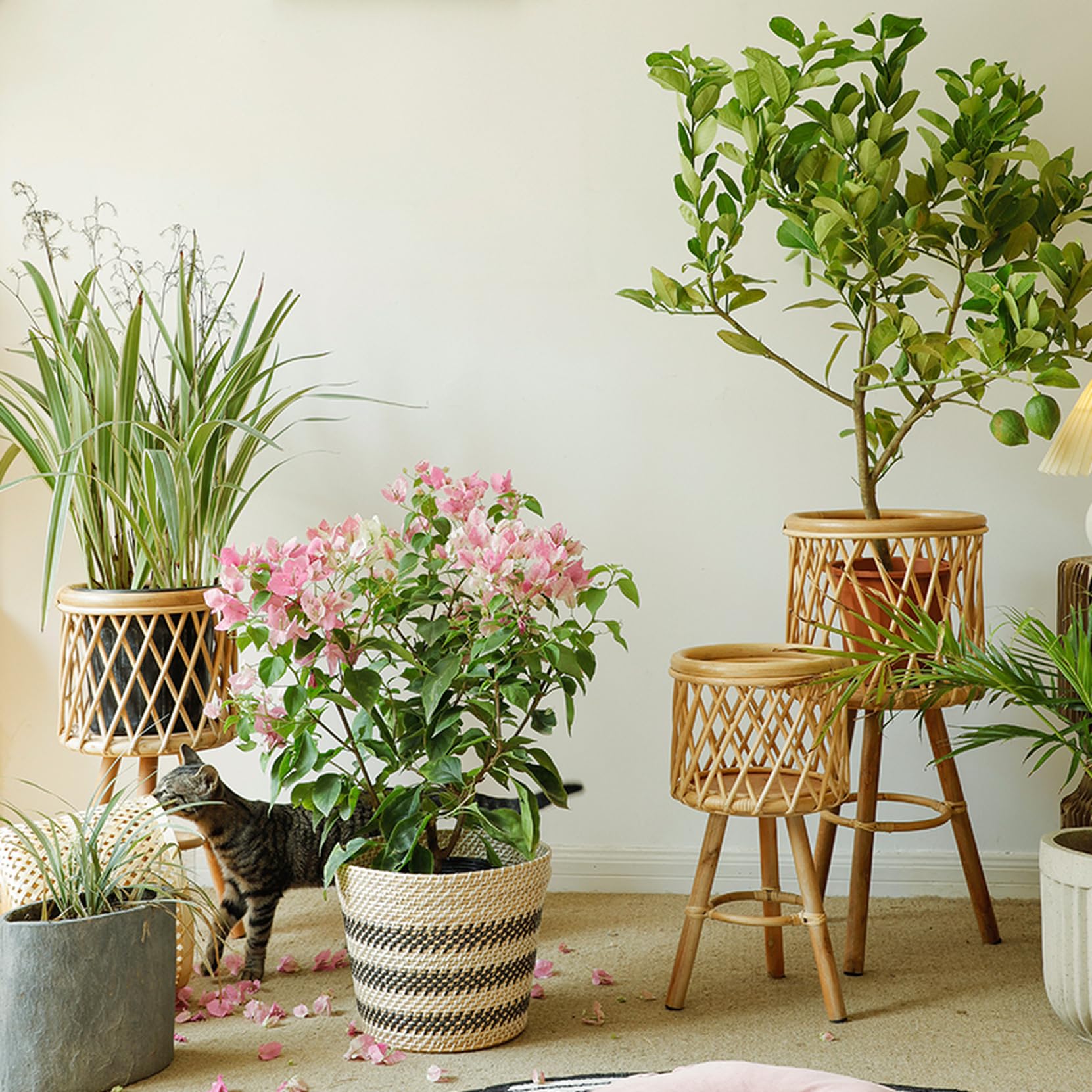 Amazon｜HGJH オリーブの葉 人工観葉植物 フェイクグリーン 卓上 M