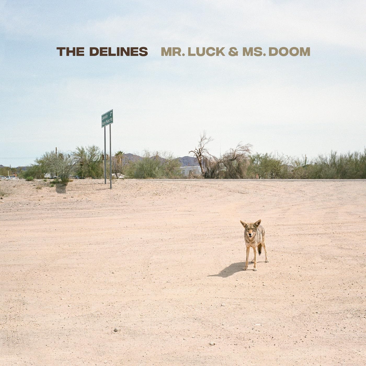 Mr. Luck & Ms. Doom [VINYL]