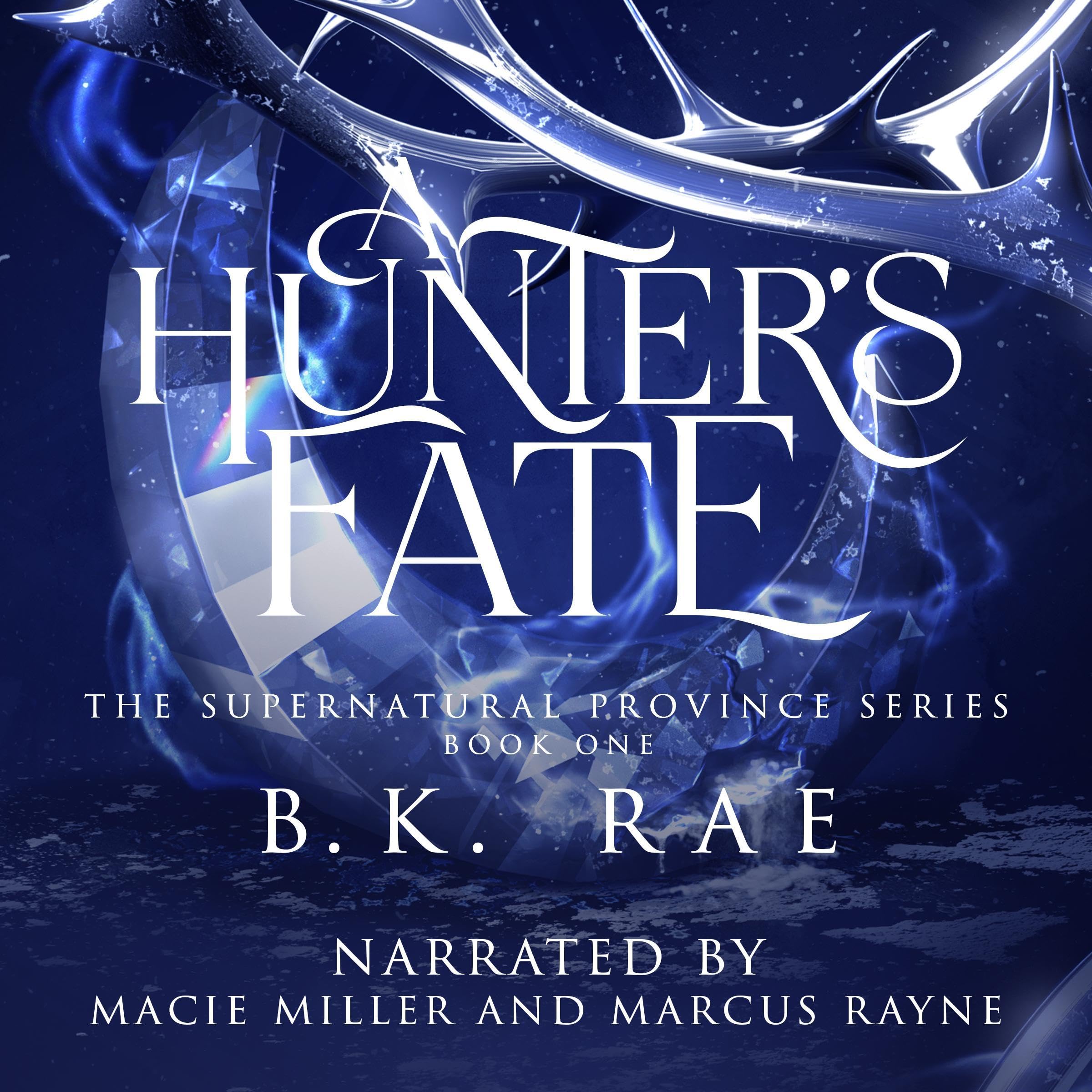 Cover art for A Hunter's Fate