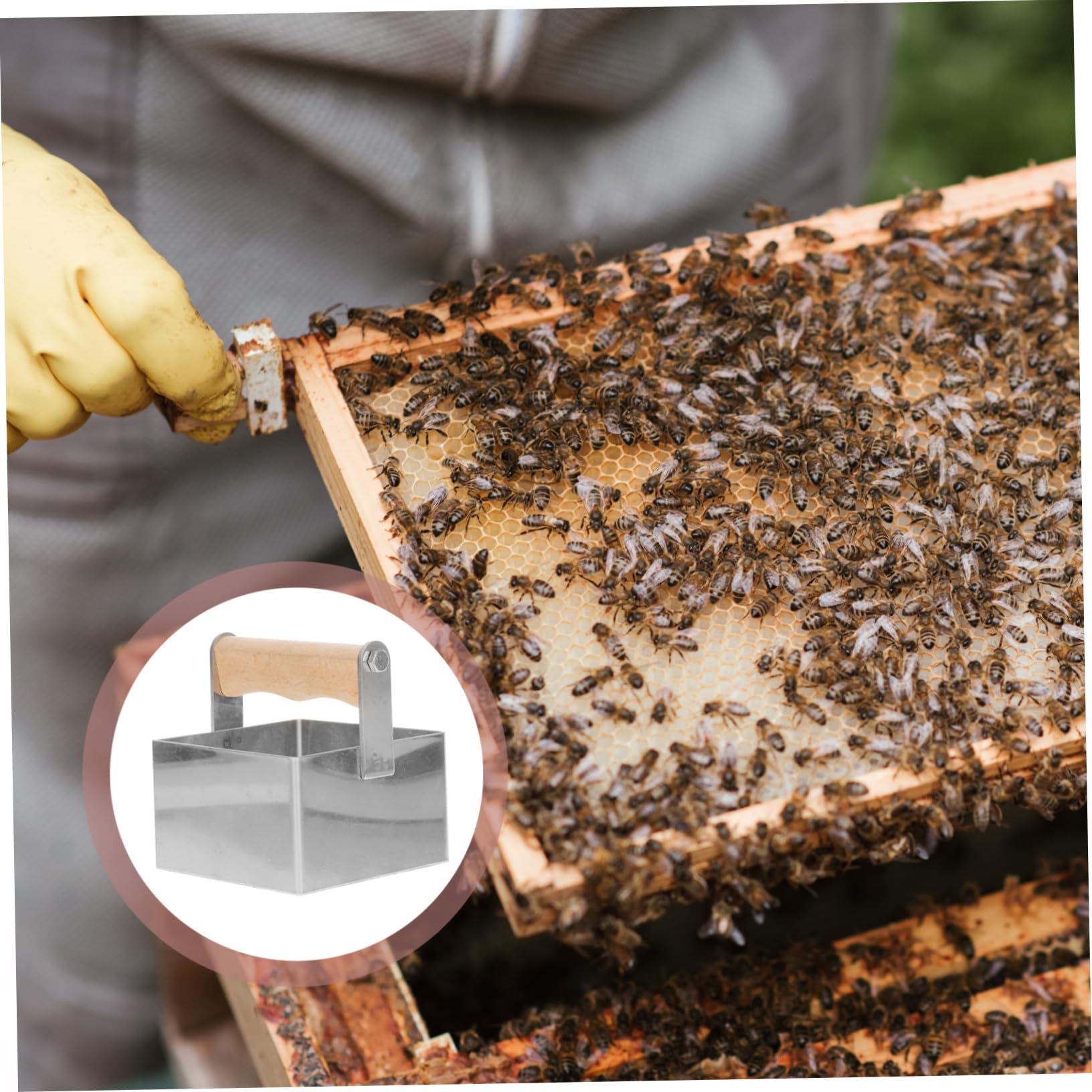 SEWACC Honigschneider Rechteckiger mit Komfortablem Griff aus Edelstahl Imker Honigschneidwerkzeug für Präzises Schneiden von Wabenhonig im Bienenstock