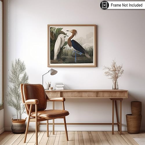 Miniatura 6 de Poster Master Póster vintage de James Audubon  Impresión retro de garza morada  Arte de aves de América  Regalo para hombres, mujeres y amantes de
