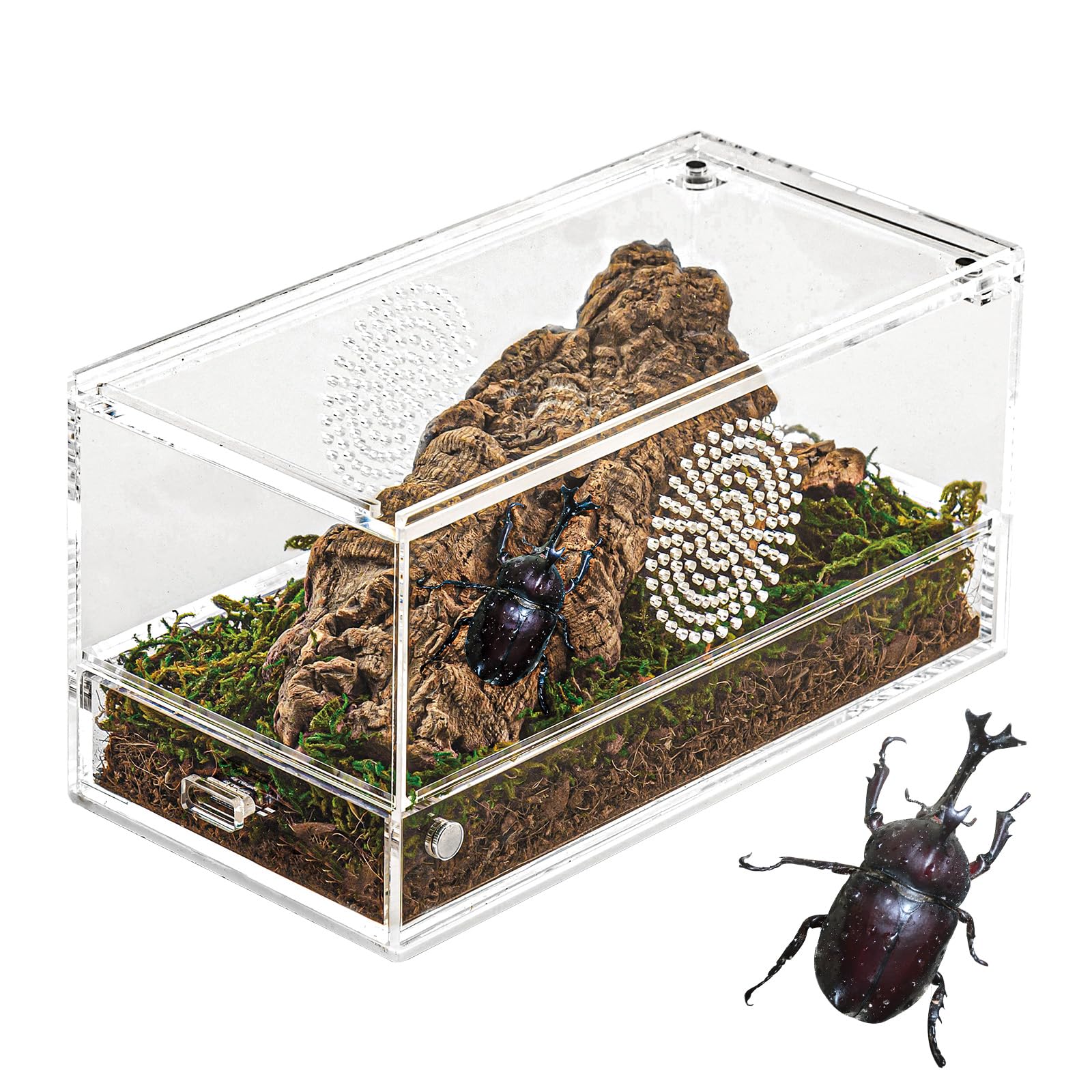 Smartang Acryl-Terrarium Für Taranteln & Reptilien – 20,3 X 10,2 X 10,2 Cm, Mit Magnetverschluss, Belüftet (für Spinnen, Eidechsen, Insekten)