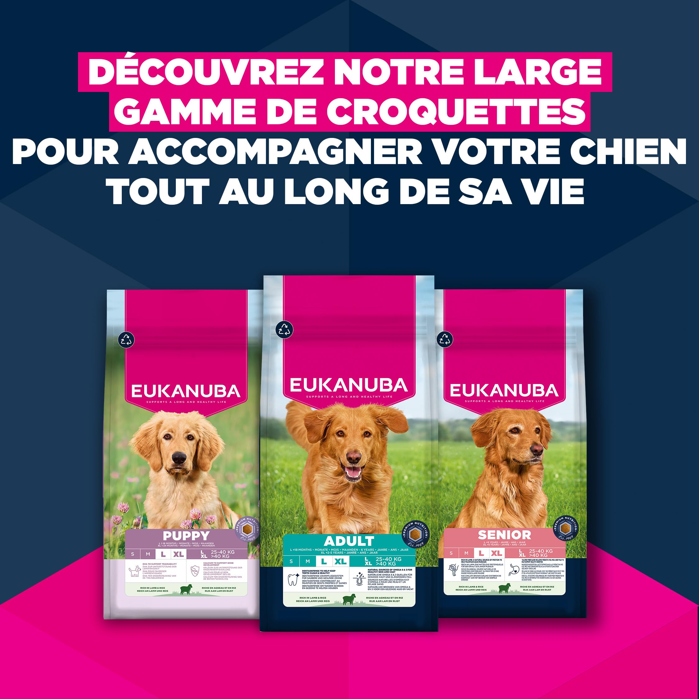EUKANUBA Life Care Chien Adulte Grande Race Agneau Riz 12 kg