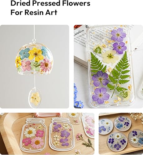Miniatura 7 de Flores secas, flores prensadas Resiners para manualidades, kit de flores secas naturales reales para suministros de álbumes de recortes,