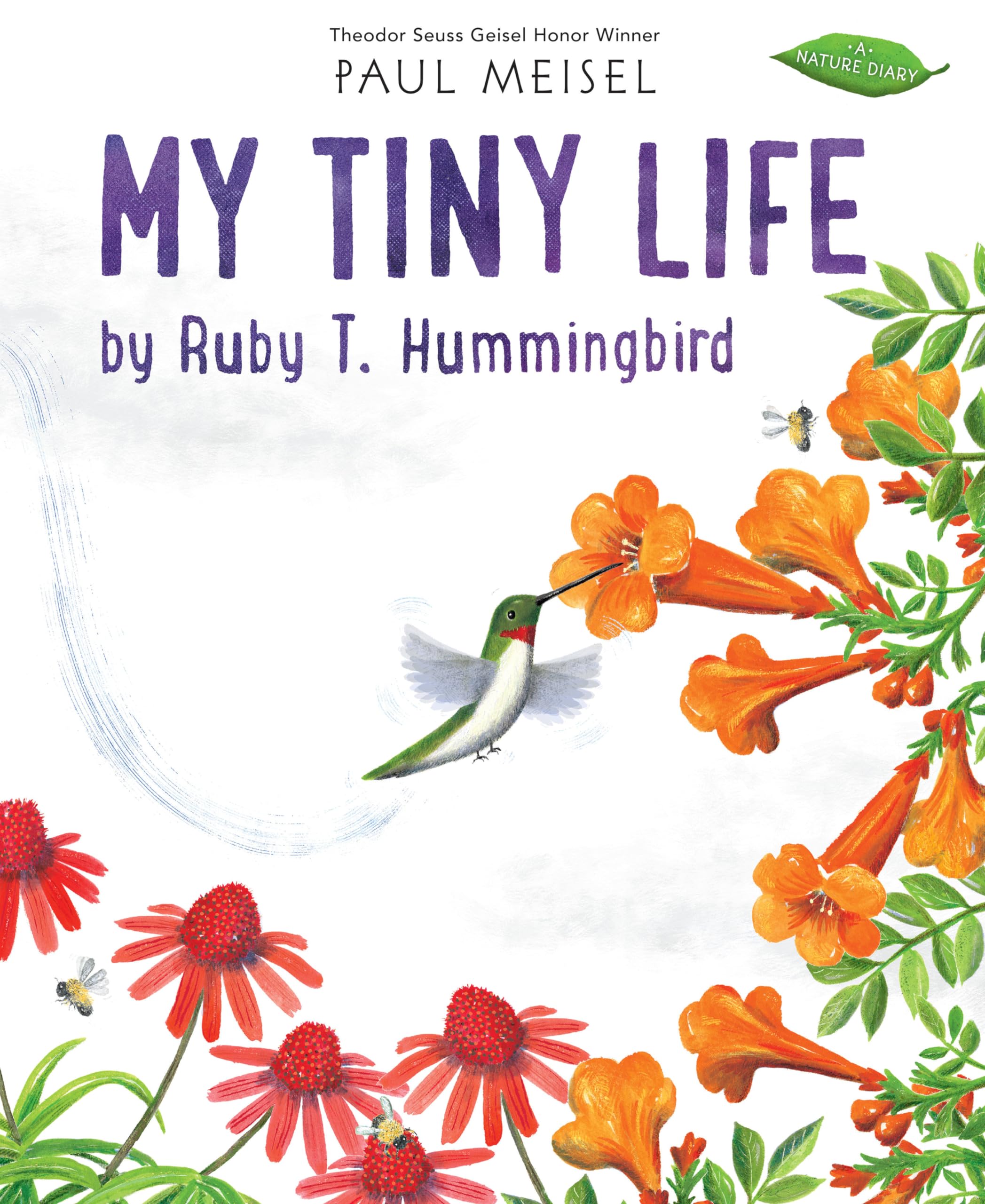 My Tiny Life by Ruby T. Hummingbird: 4 (A Nature Diary)