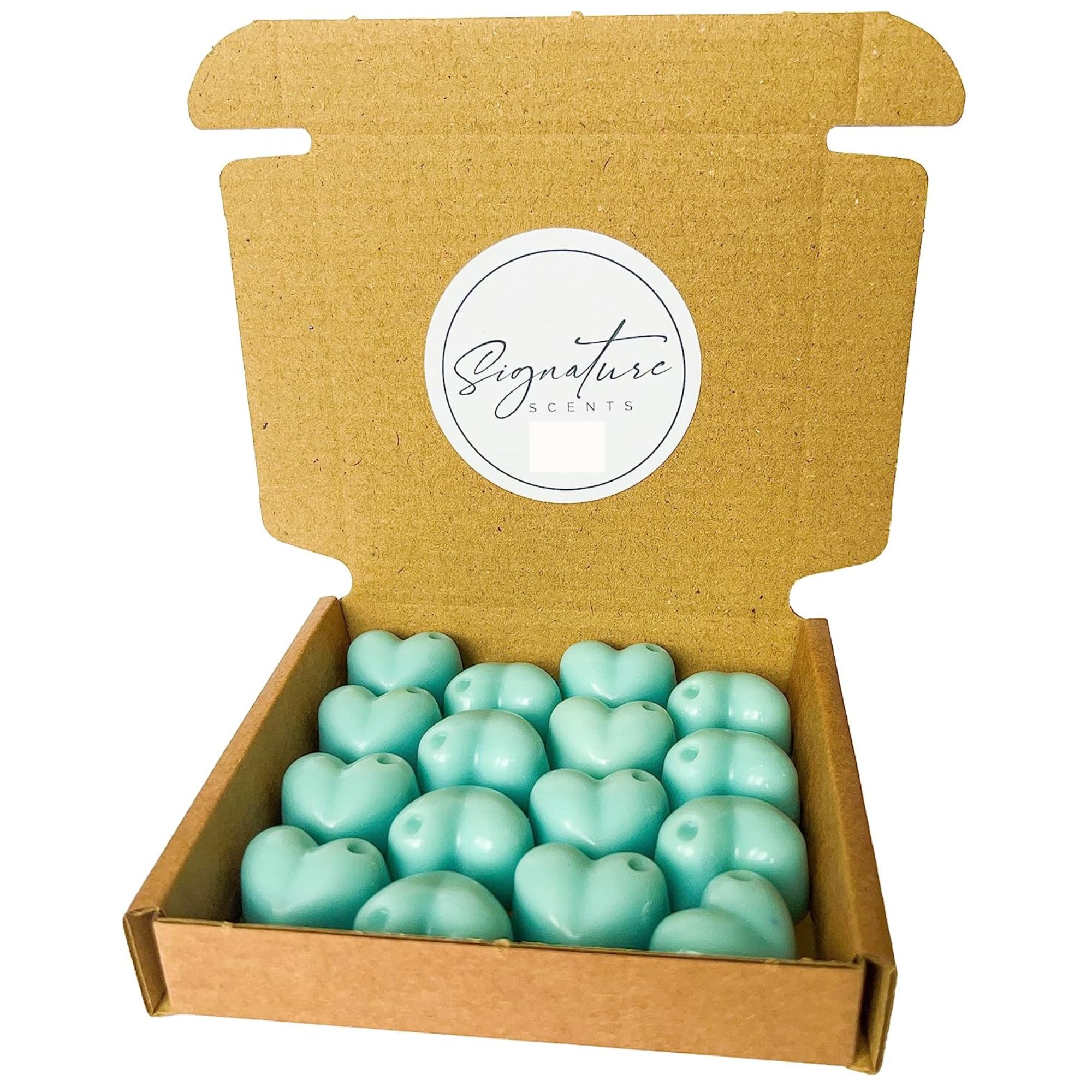 Signature Scents Turquoise Frosted Eucalyptus Wax Melts - 16X 5G Hearts - Highly Scented - Soy Wax - Long Lasting & Strong - Fabric Conditioner Inspired