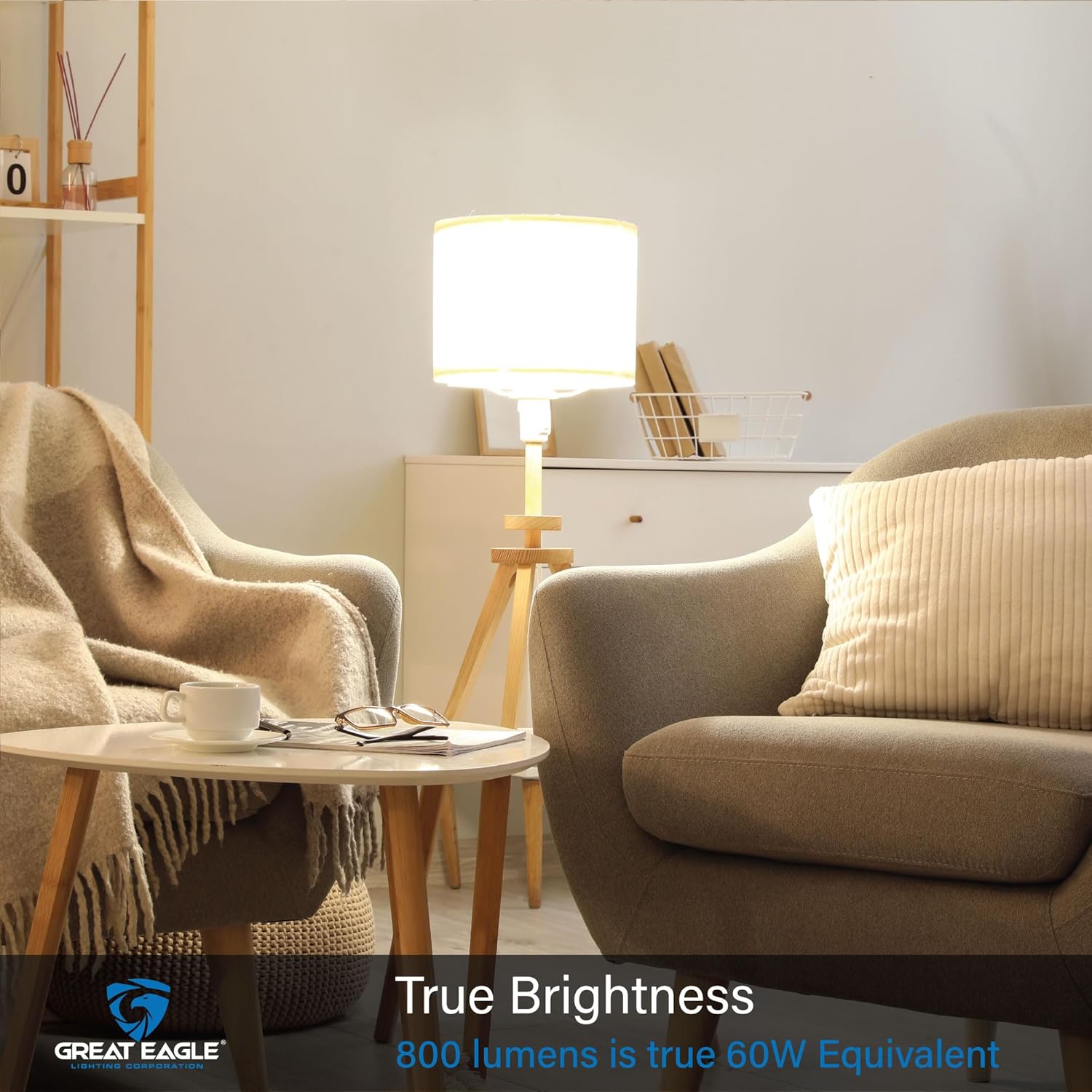 Great Eagle A19 LED Light Bulbs 60 Watt Equivalent, Soft White 3000K LED Light Bulbs, 9W Non Dimmable, 800 Lumens (6 Pack)