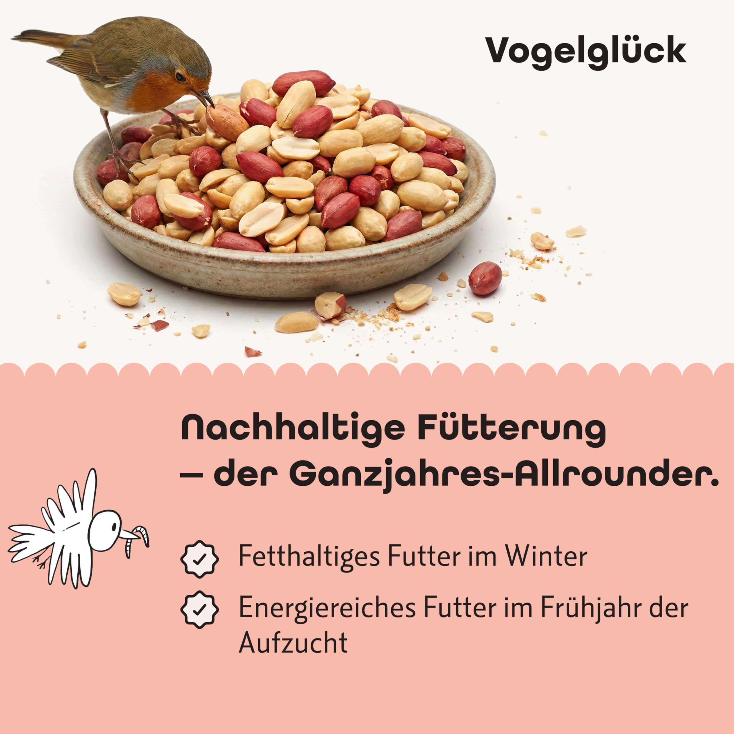 Vogelglück Erdnusskerne Vogelfutter 20 kg geschält – energiereich, schalenfrei, gereinigt und Sortiert – Erdnüsse für Nussspender, Silo, Futtertisch und Bodenfütterung, geeignet für Wildvögel