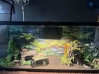 Review Image by ki ki