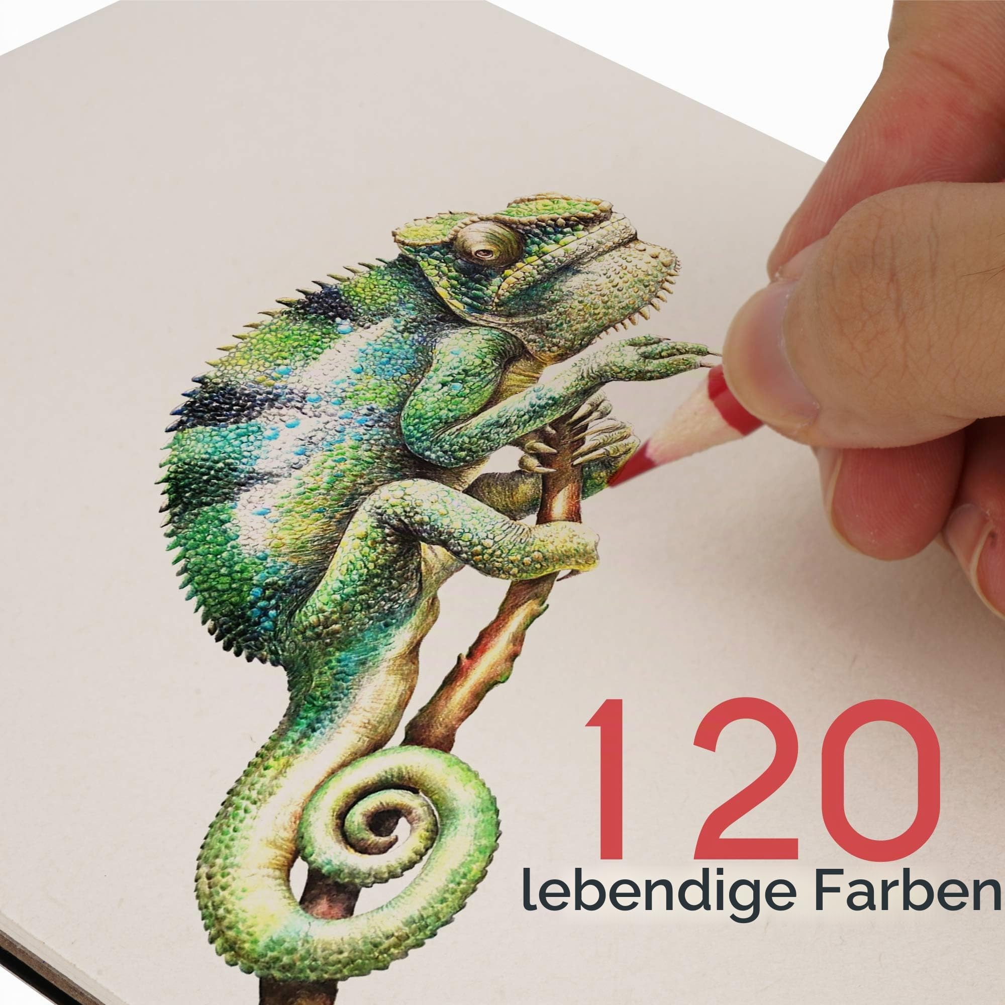 Buntstifte, Sets 120 Stück mit Schutzkoffer