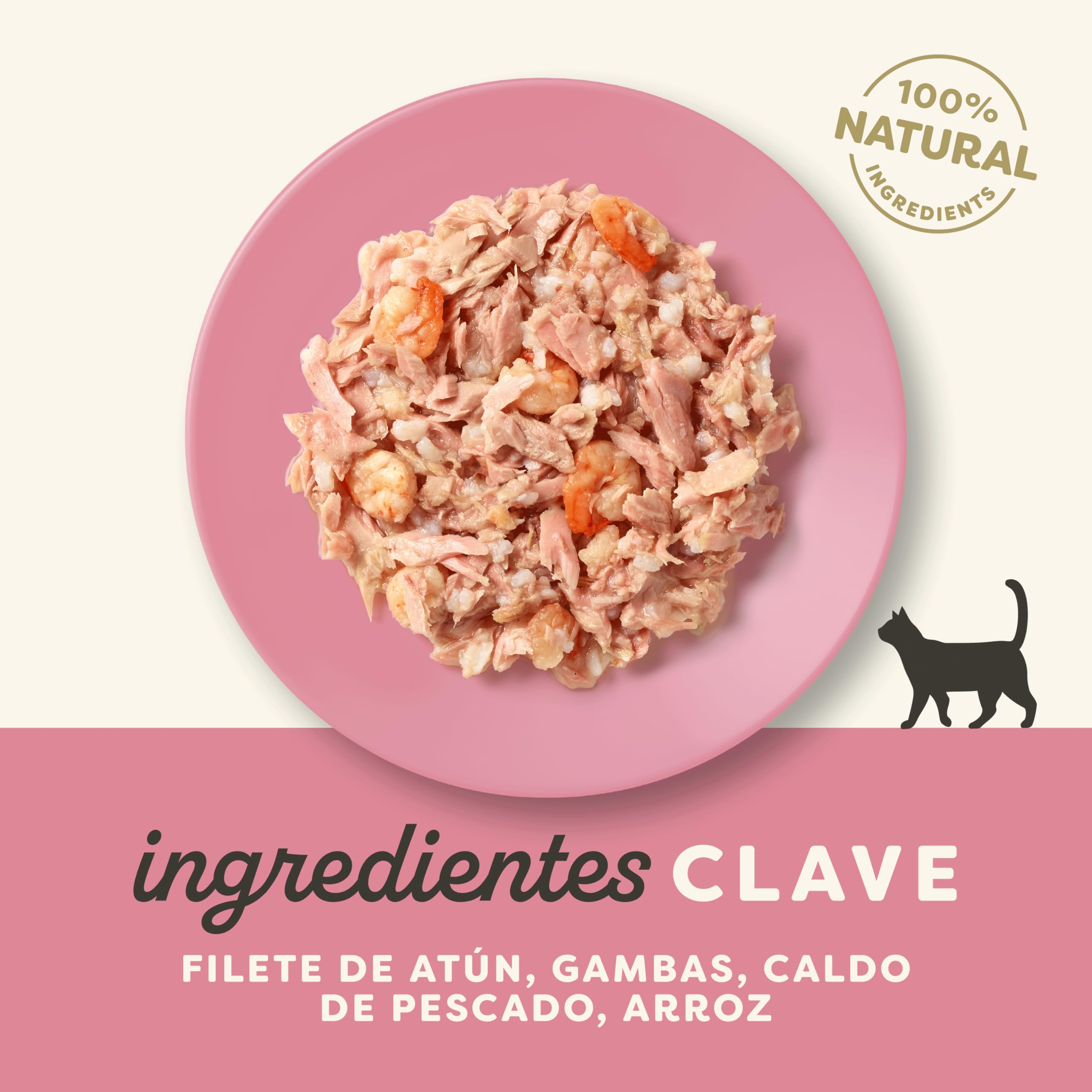 Applaws 100% Natural Comida Húmeda para Gatos Adultos - Filete de Atún y Camarón en Caldo - Paquete de 24 latas de 70g