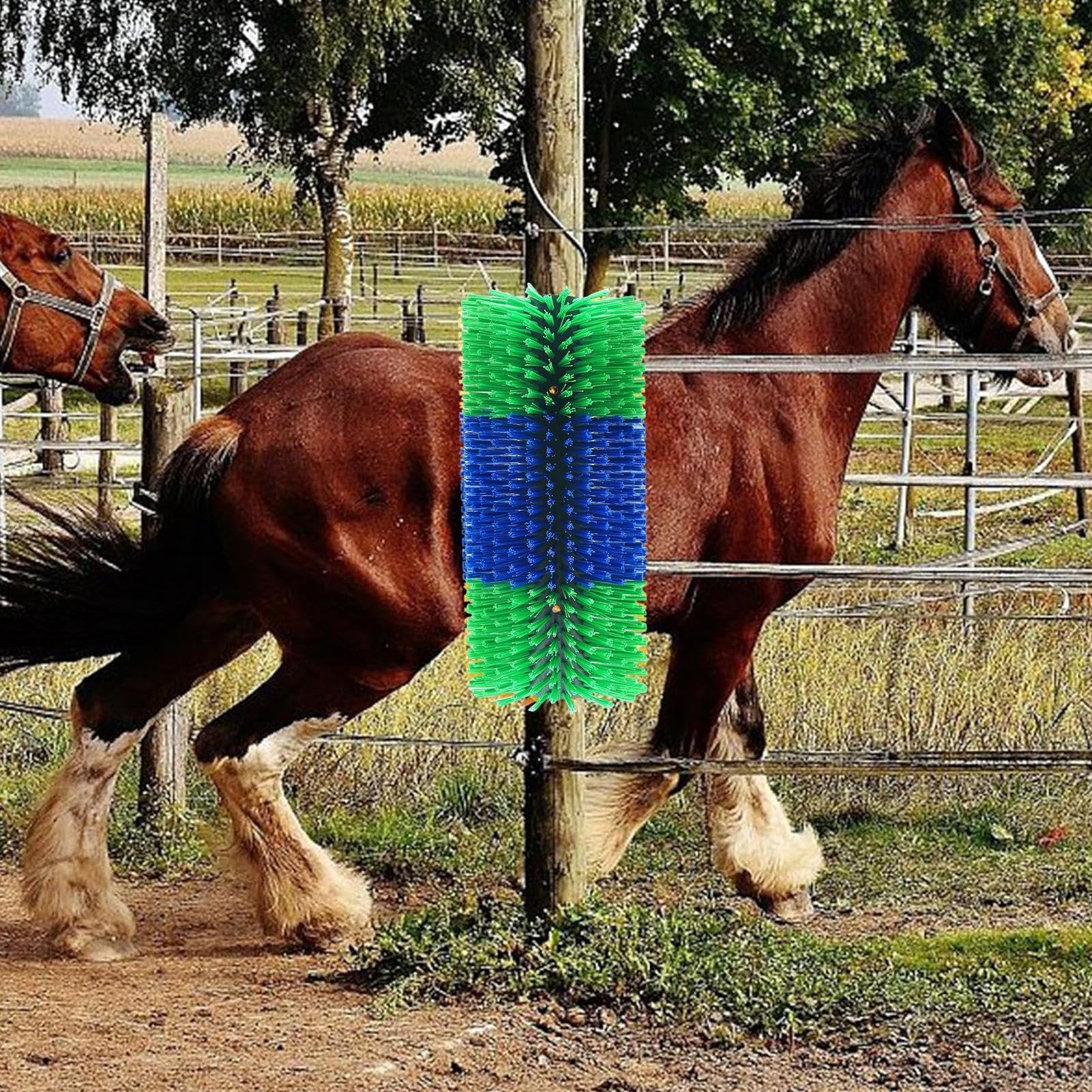 Rascador para caballos, cepillo para rascar caballos Masajeador de pelo con | Kit de aseo de animales domésticos de masaje completo, cepillo para derramar animales de gran