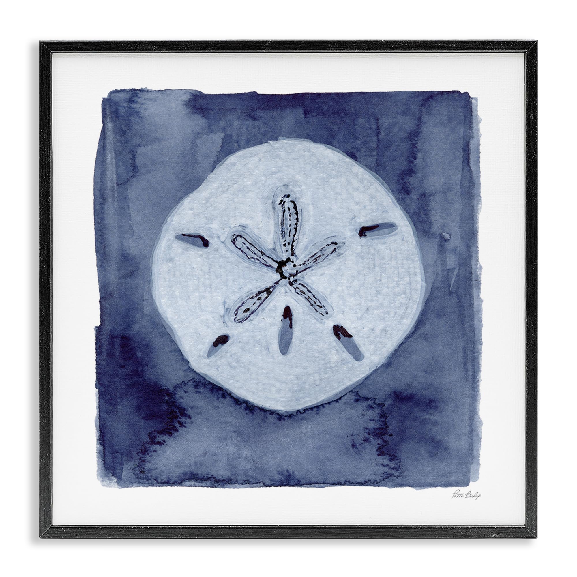 Stupell Industries 'White Sand Dollar on Indigo', Framed Giclee Art, Black, 12 x 12 Inches, Easy to Hang and Sturdy, Made in USA, by Patti Bishop