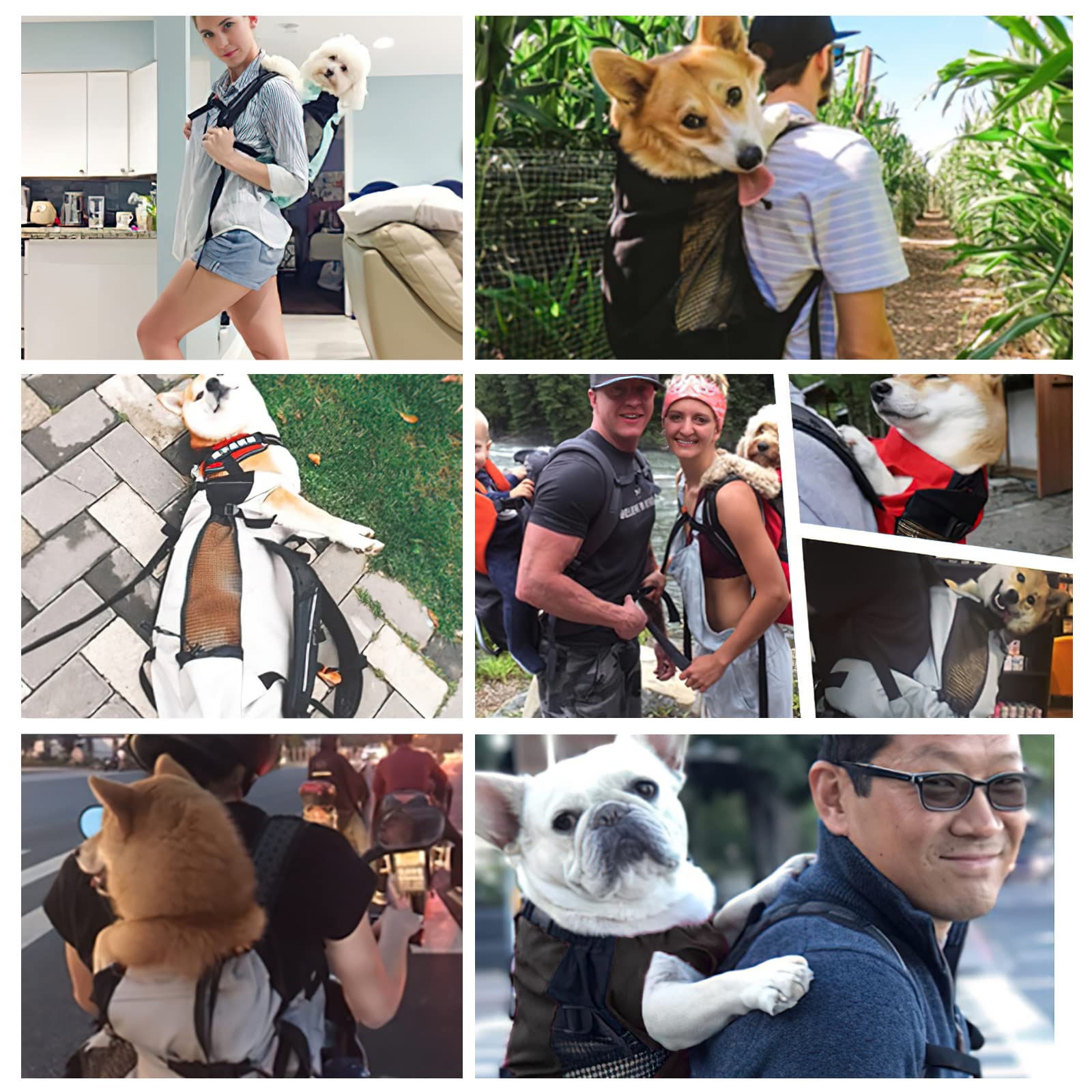 Galatée Mochila para Perros, Mochila para Perros Ajustable para Perros Pequeños y Medianos, Mochila para Mascotas para Caminar Al Aire Libre Senderismo Escalada De Montaña Viajes(M, Negro)