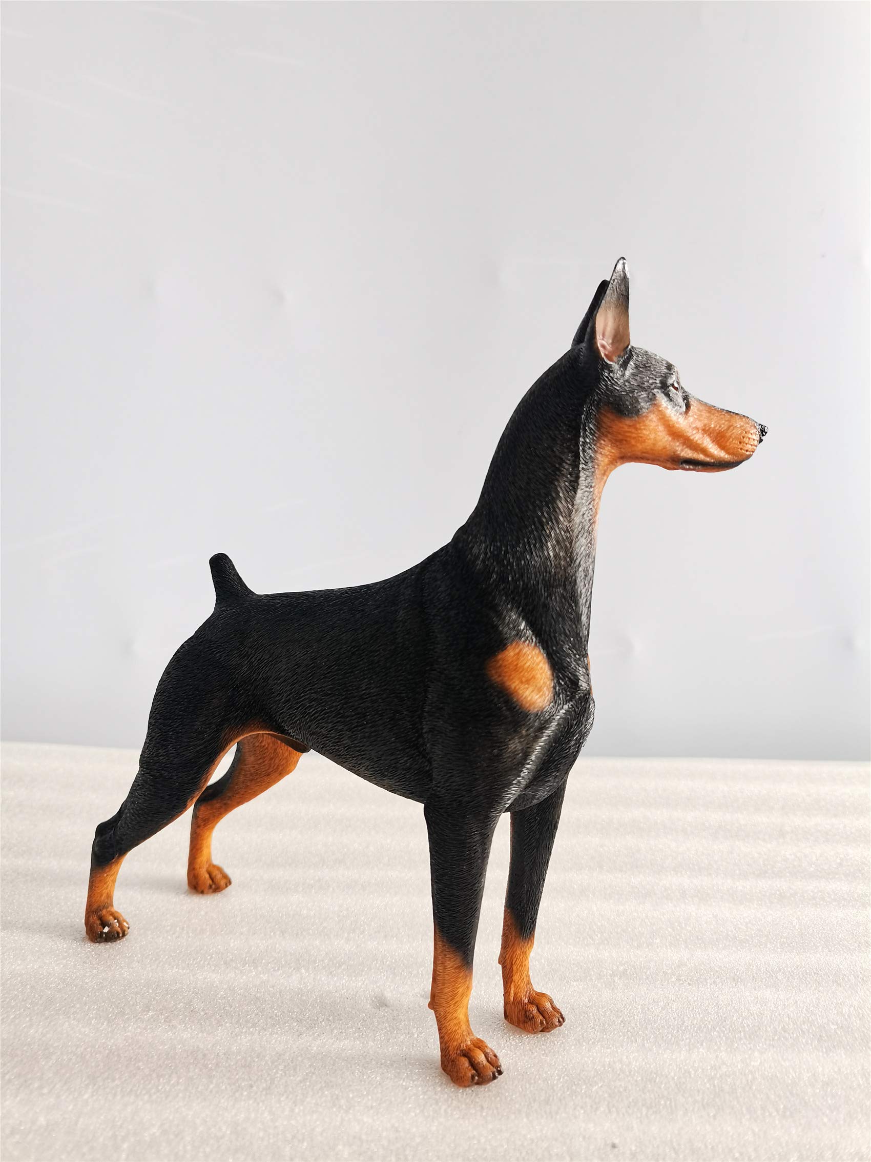 Amazon | M7 ドーベルマン ドーベルマン・ピンシャー 犬 動物 リアル