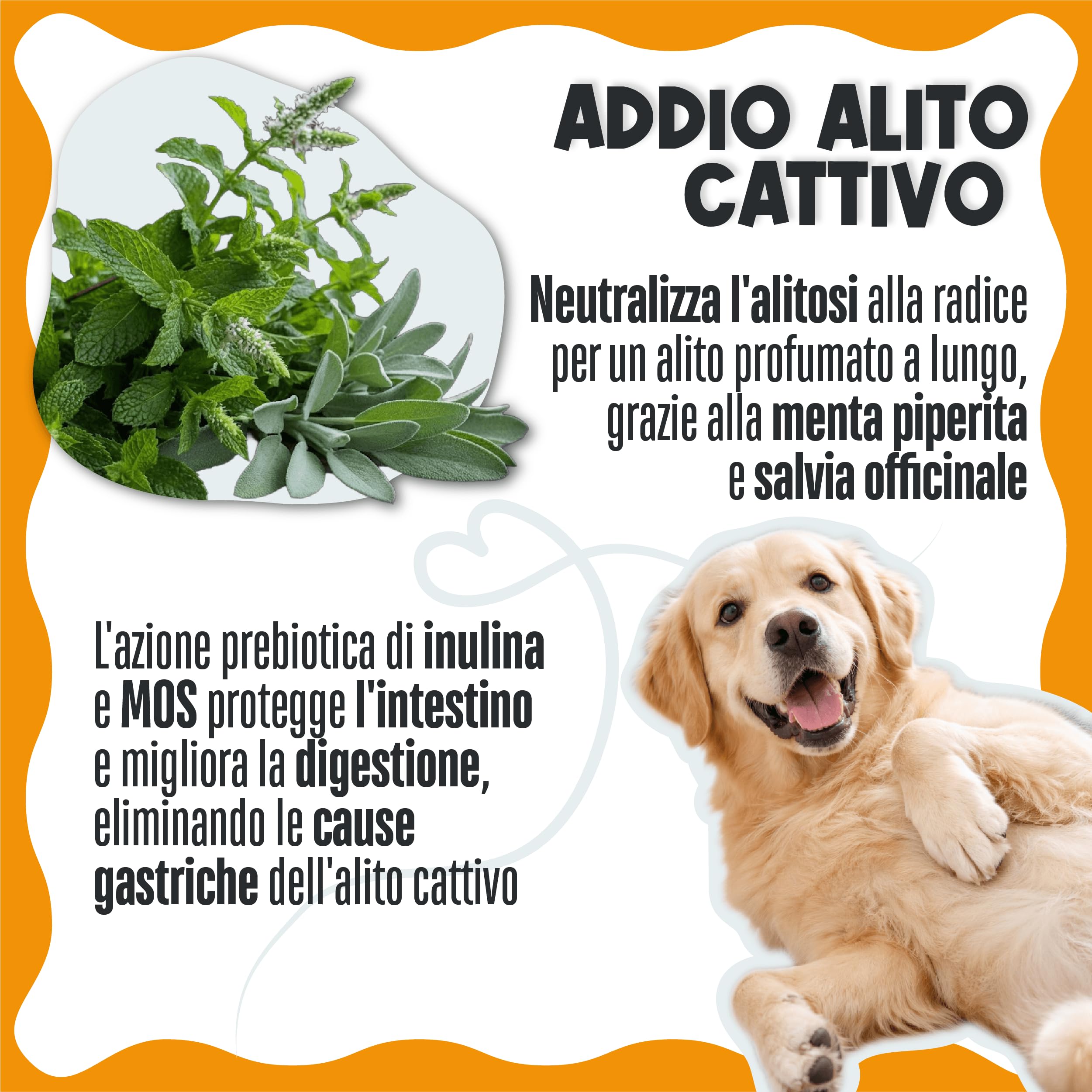 Dental Bright Polvere Dentale per Cani e Gatti, Sciogli Tartaro e Placca, Dentifricio Senza Spazzolino con Inulina, Menta, Pappa Reale e Salvia 100g 50 Dosi Made in Italy