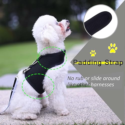 Miniatura 9 de Teacup - Juego de arnés y correa para perro pequeño, chaleco acolchado suave ajustable para taza de té, chihuahua, caniche, yorike, maltés de menos