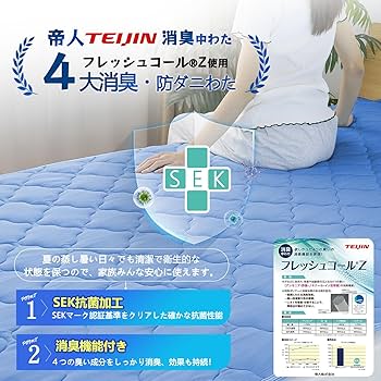 光触媒機能性敷きパッド 楽天市場】【最大10000Pバック!当確1/2☆25日限定】日本製 敷き