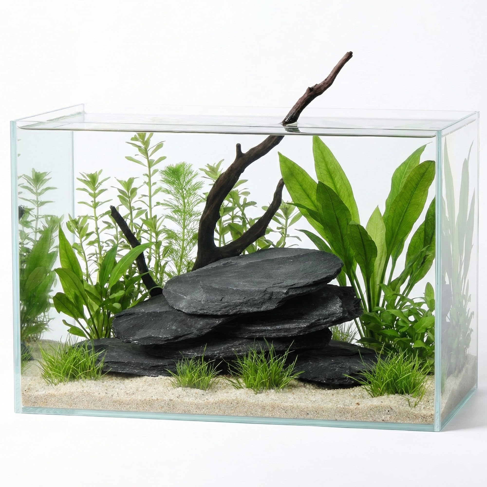 View 7