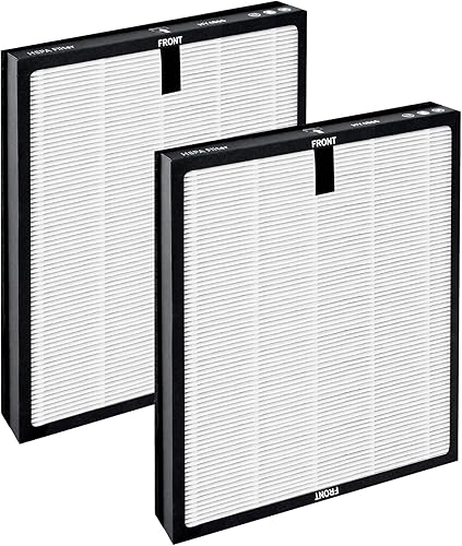 FETIONS HY4866 - Filtro de repuesto para purificador de aire, filtro de aire HEPA verdadero H13 para purificador de aire MOREN-TO HY4866 FETIONS de
