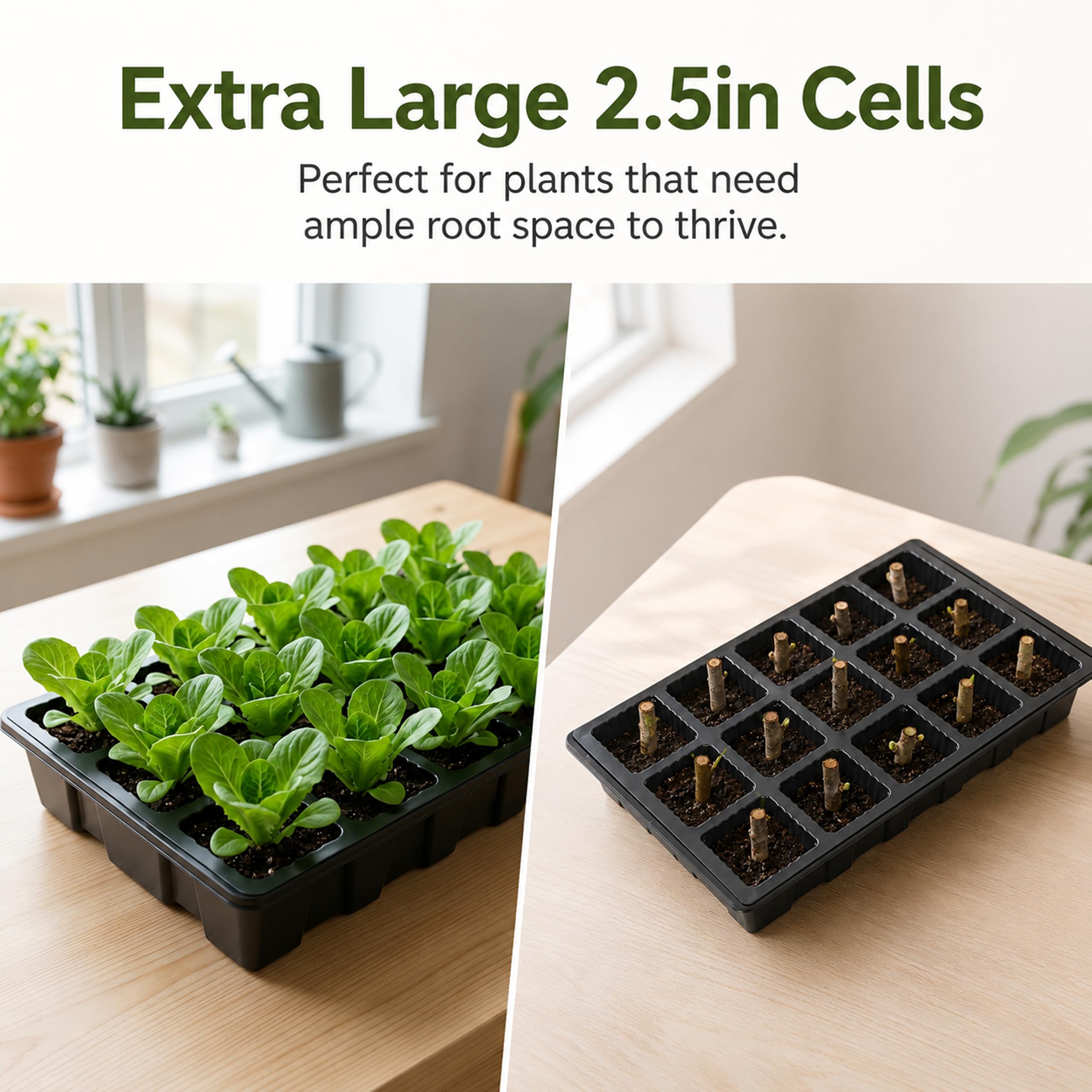 Gardzen Anzuchtkastenset für den Garten, Samen-Starterset, Keimschalen, mit Deckel und Wanne | Wiederverwendbares Pflanzenkeimset mit Feuchtigkeitskuppeln und Sockeln zum Starten von Samen, 38,1 x 22,9 cm Tablett