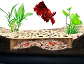 shrimp hides for aquarium Top1商品