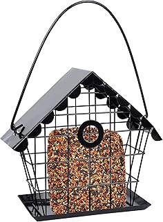 FORUP Suet Bird Feeder for Outside, Hanging Suet Feeder, Single Suet Cake Wild Bird Feeder with Hanging Metal Roof