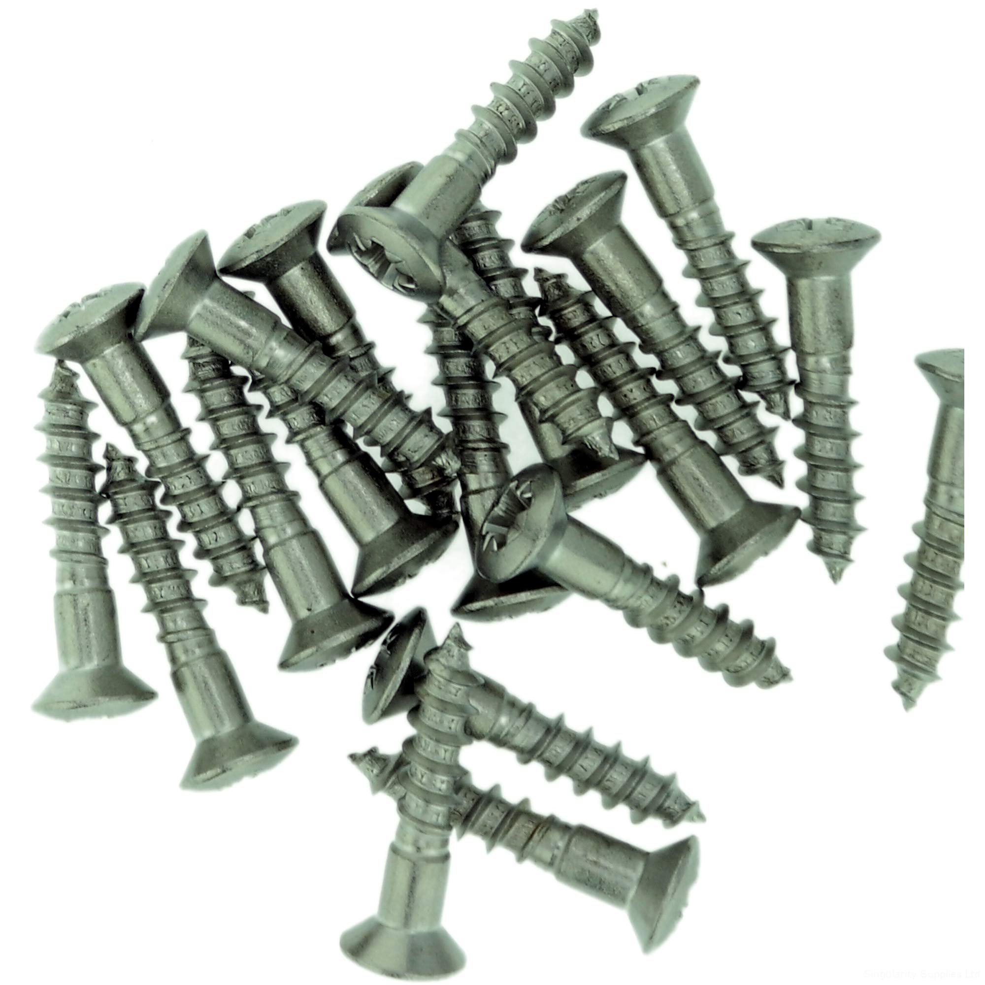 Singularity Supplies No.9 X 2.35 (4.5Mm X 60Mm) Pozi Raised Countersunk Wood Screw - Stainless Steel (A2) (Pack Of 20)