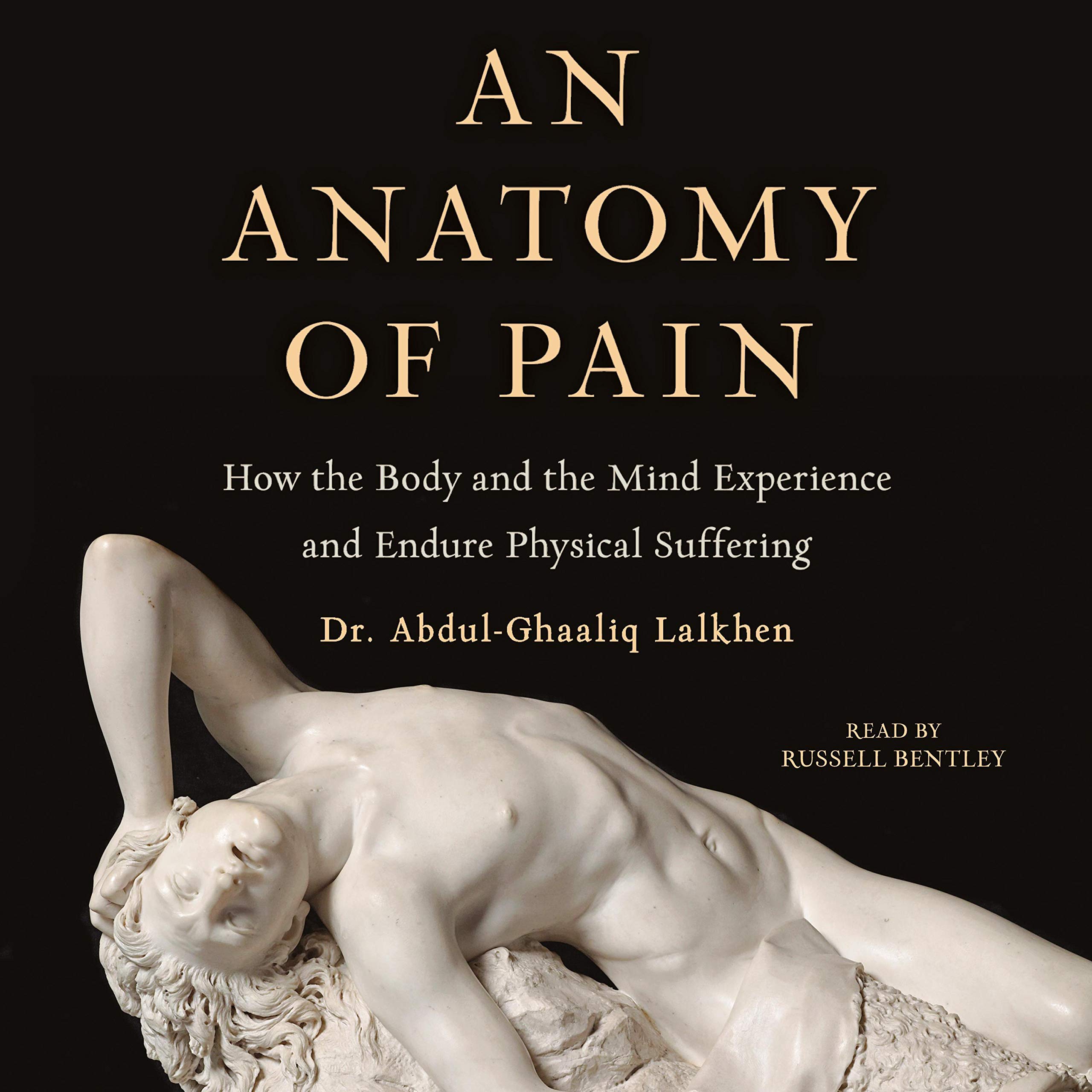 Cover art for An Anatomy of Pain