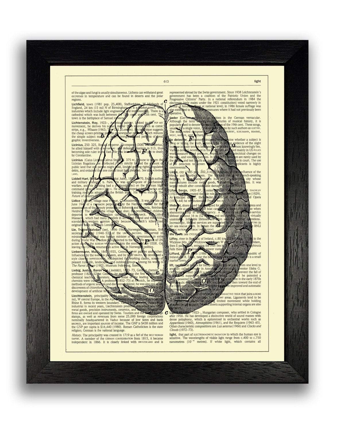 Art Print Vintage Brain Anatomical Illustration Anatomy Diagram