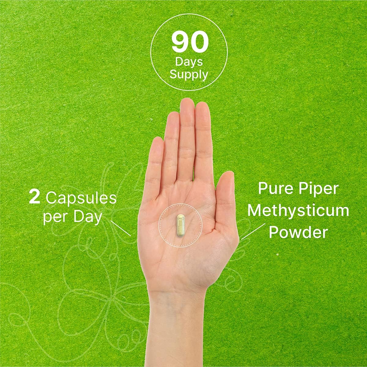 Kava Kava Capsules - 750mg Per Serving, 3 Months Supply, Kava Kava Extract from Kava Root, Promote Stress & Anxiety Relief, Mental Calmness and Restful Sleep (180 Capsules) : Health & Household