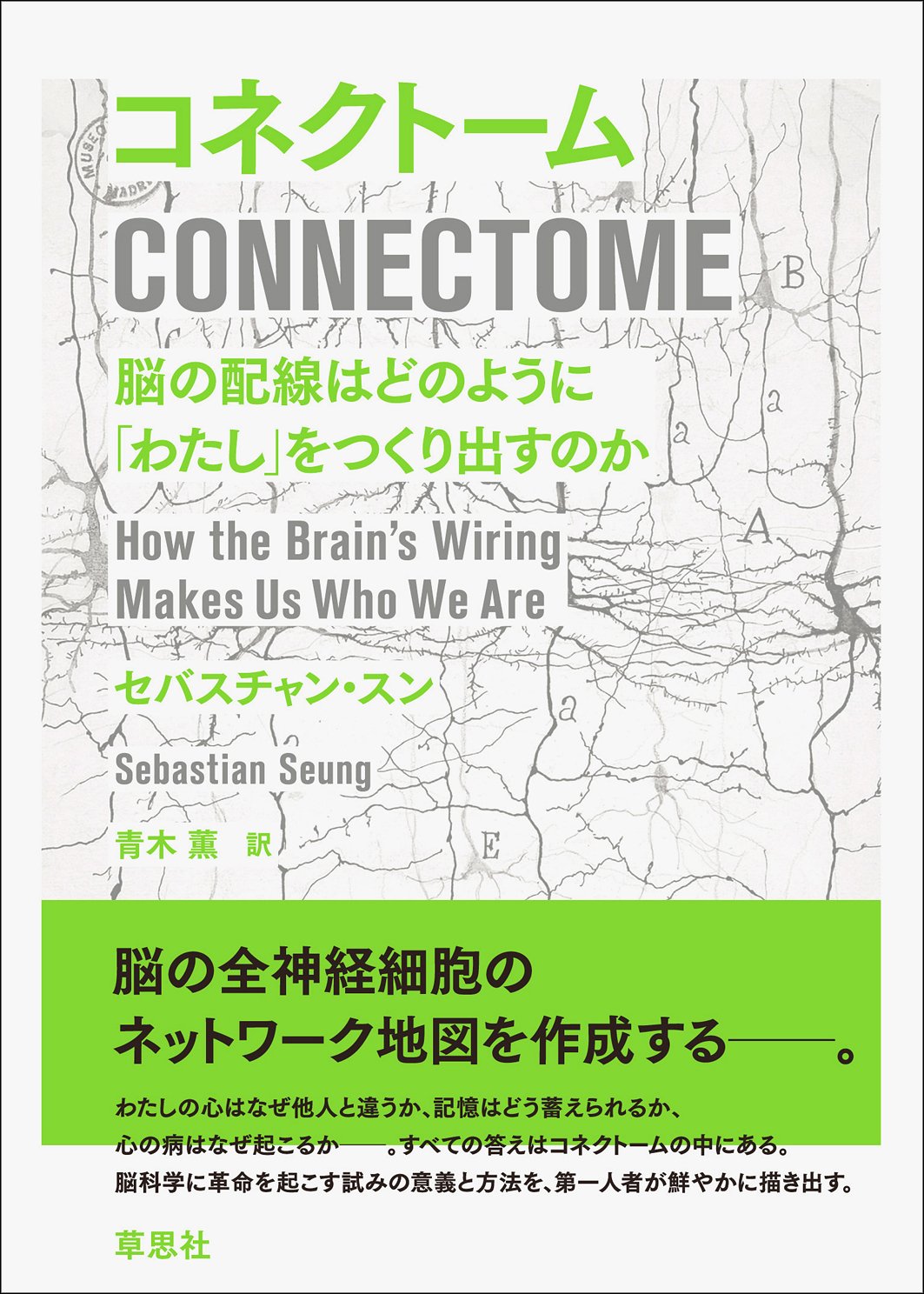 キーワードを読む脳・神経 Amazon.co.jp: 空気を読む脳 (講談社＋α新書) eBook : 中野信子: 本