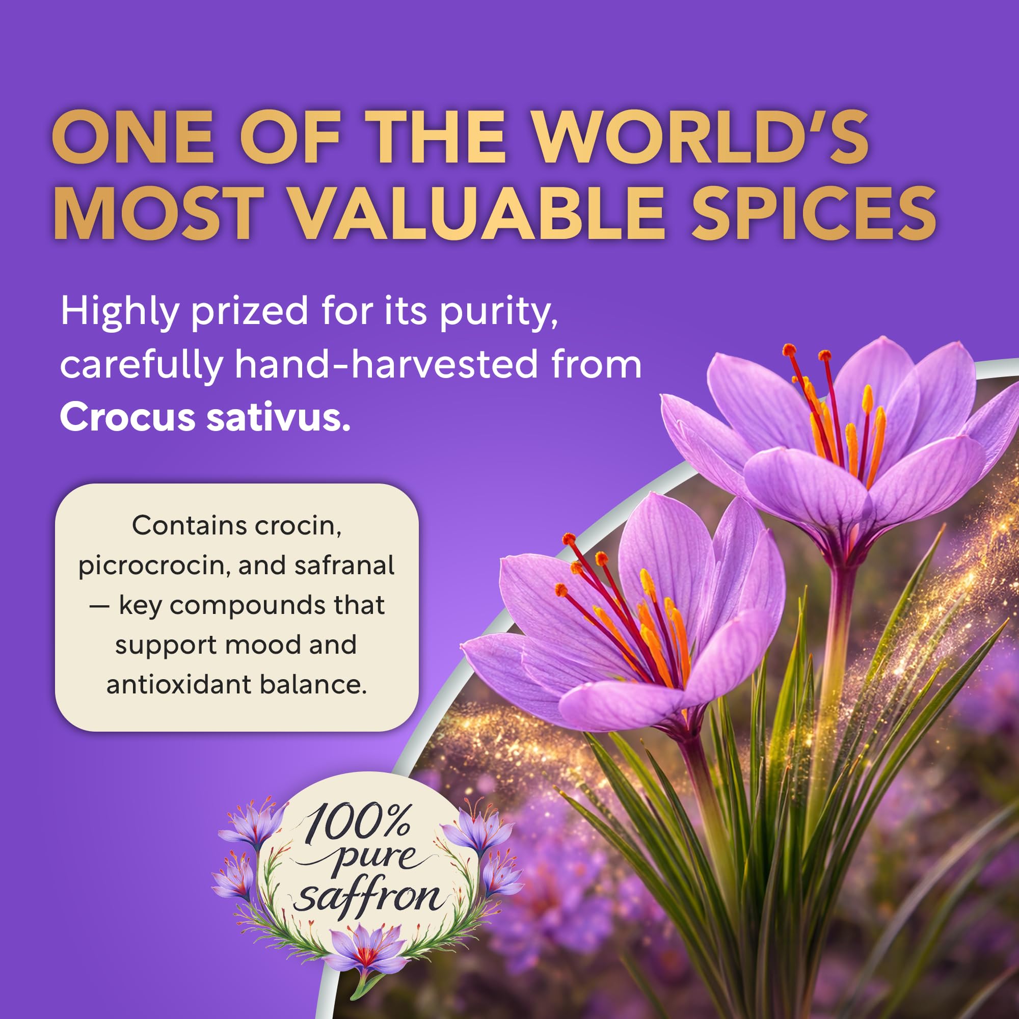 Saffron Supplements for Women 88.5mg Mood | Focus | Vision | Energy Support — Amazon image 4