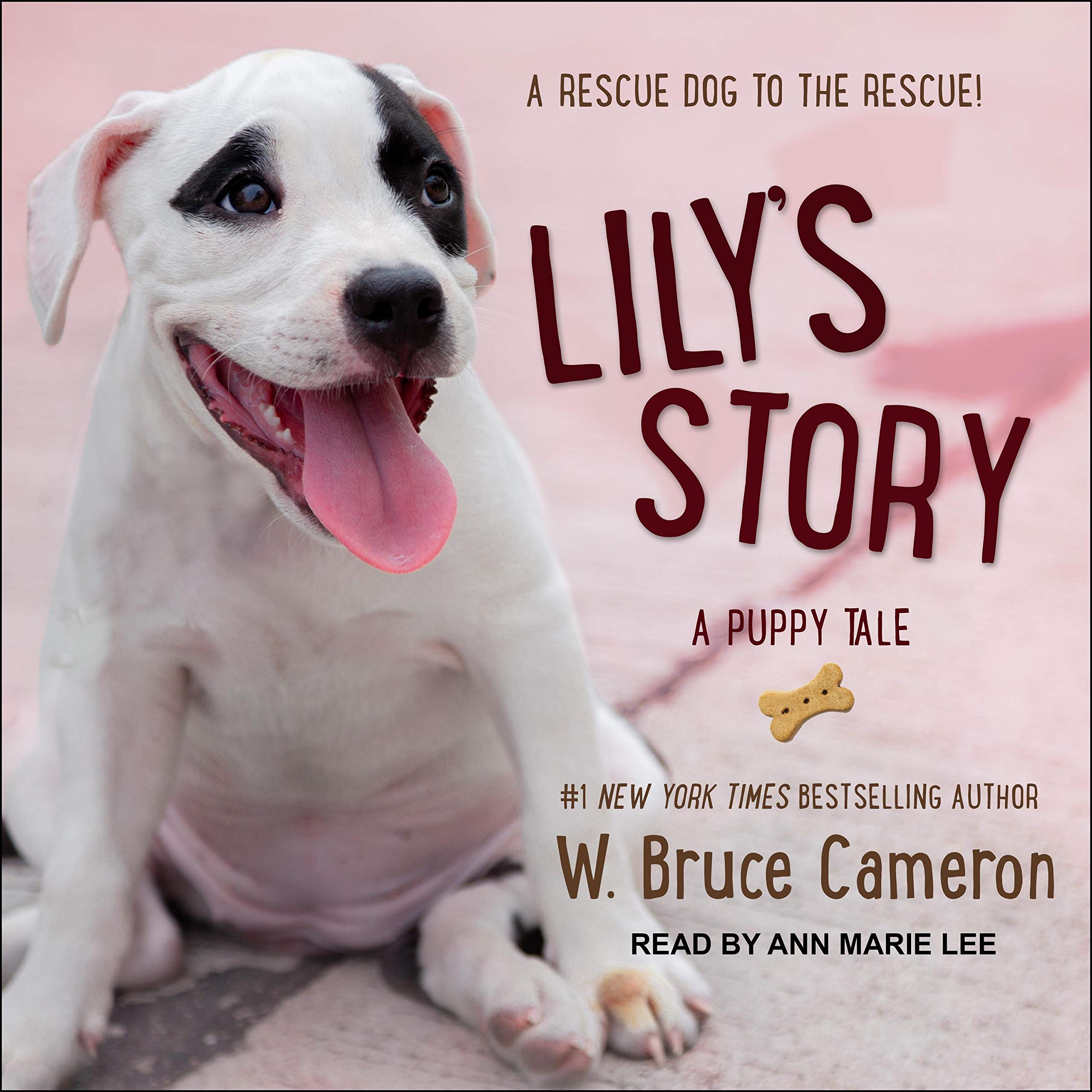 Cover art for Lily's Story