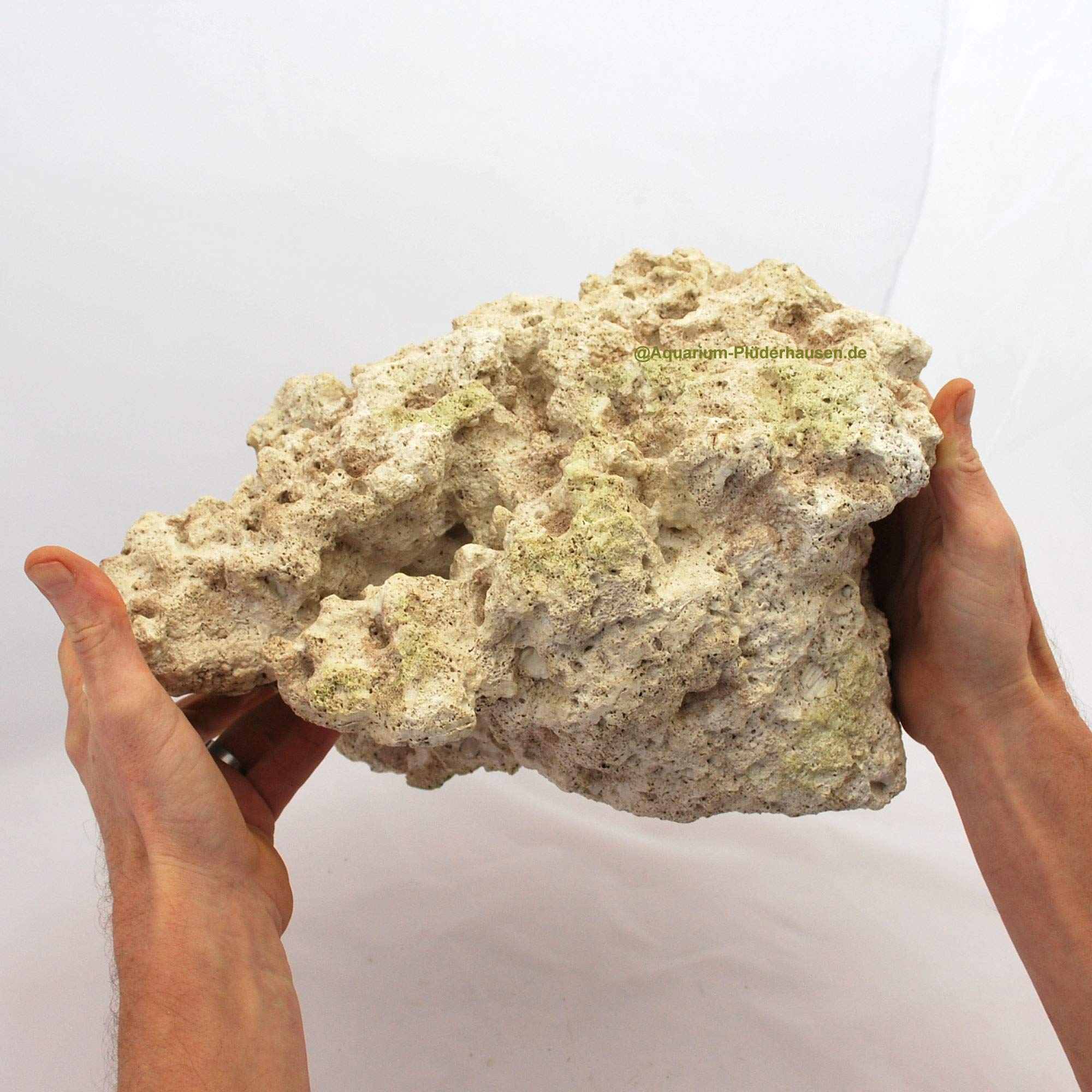 Riffgestein, 37 x 24 x 19 cm, Felsen Nachbildung,Meerwasser Aquarium Deko