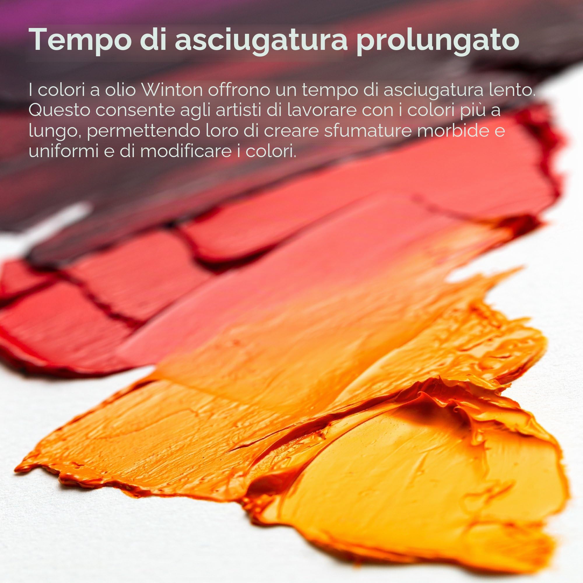 Winton Oil Assortimento 10 Tubi 21 ml