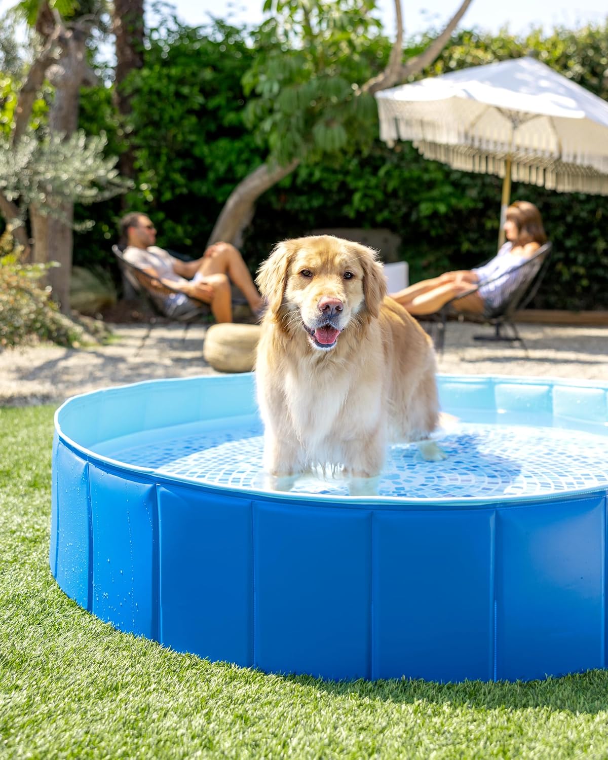 INTEX 48400EP 60in x 12in Foldable Dog Pool Portable Pet Swimming Pool Bathing Tub for Small Medium Large Puppy Dogs Cats