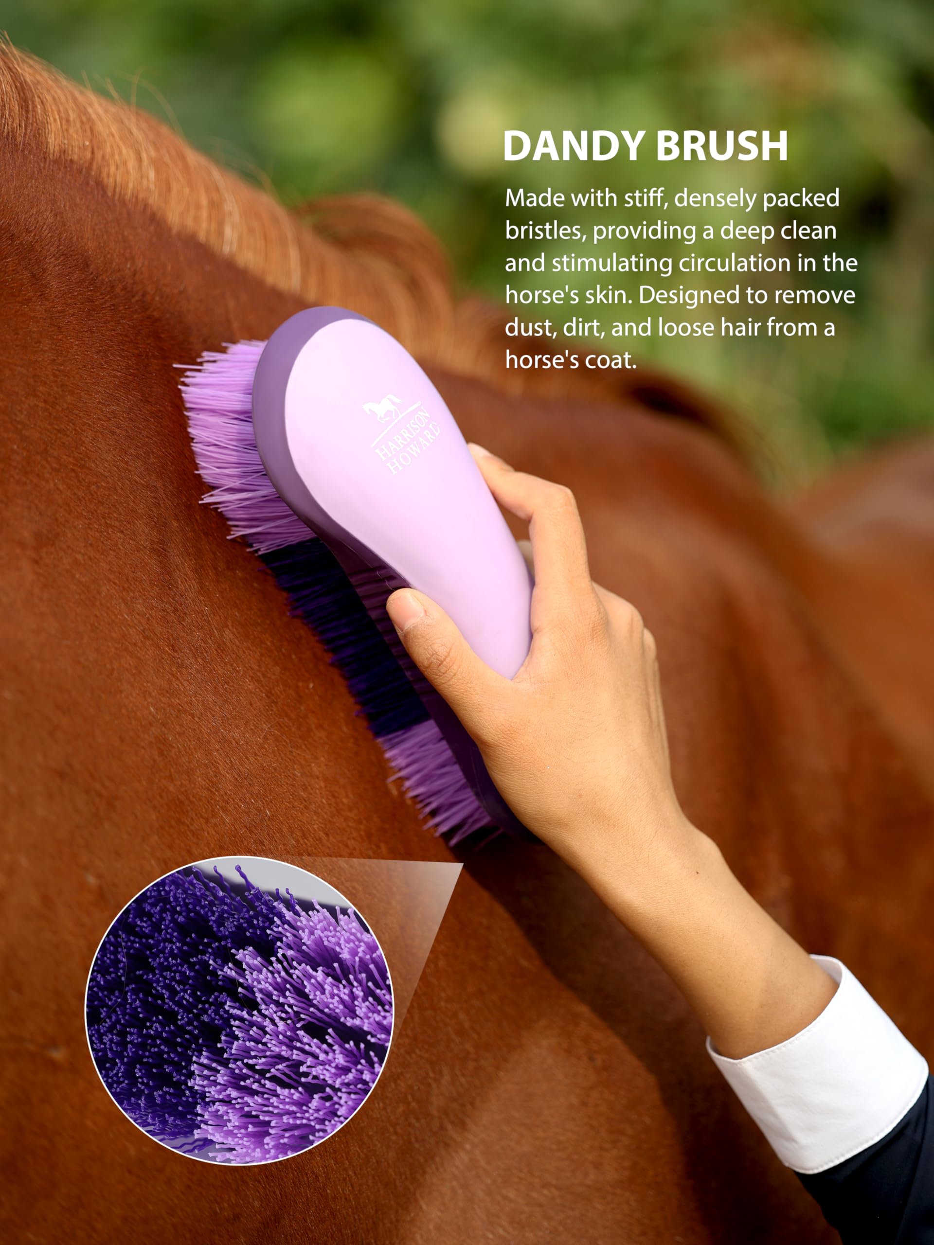 Harrison Howard Horse Grooming Brush Set, 7 Essential Grooming Brushes for Daily Horse Care, Body, Mane, Tail & Shedding Use Purple - image 5