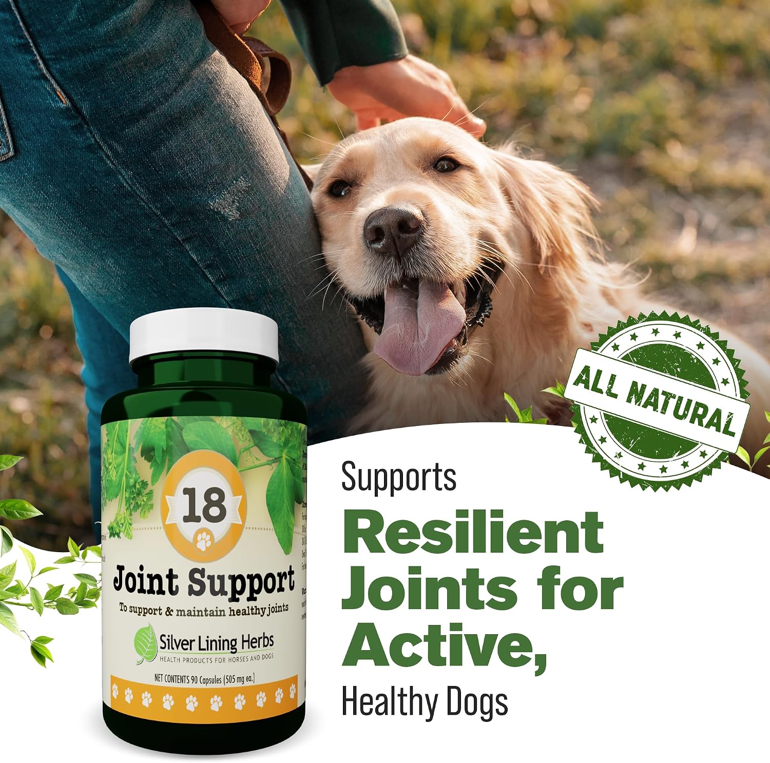 Silver Lining Herbs Dog Joint Supplement – Natural Dog Vitamins for Joint Health, Mobility & Pain Relief for Dogs - Herbal Canine Anti Inflammatory Support - 90 Capsules