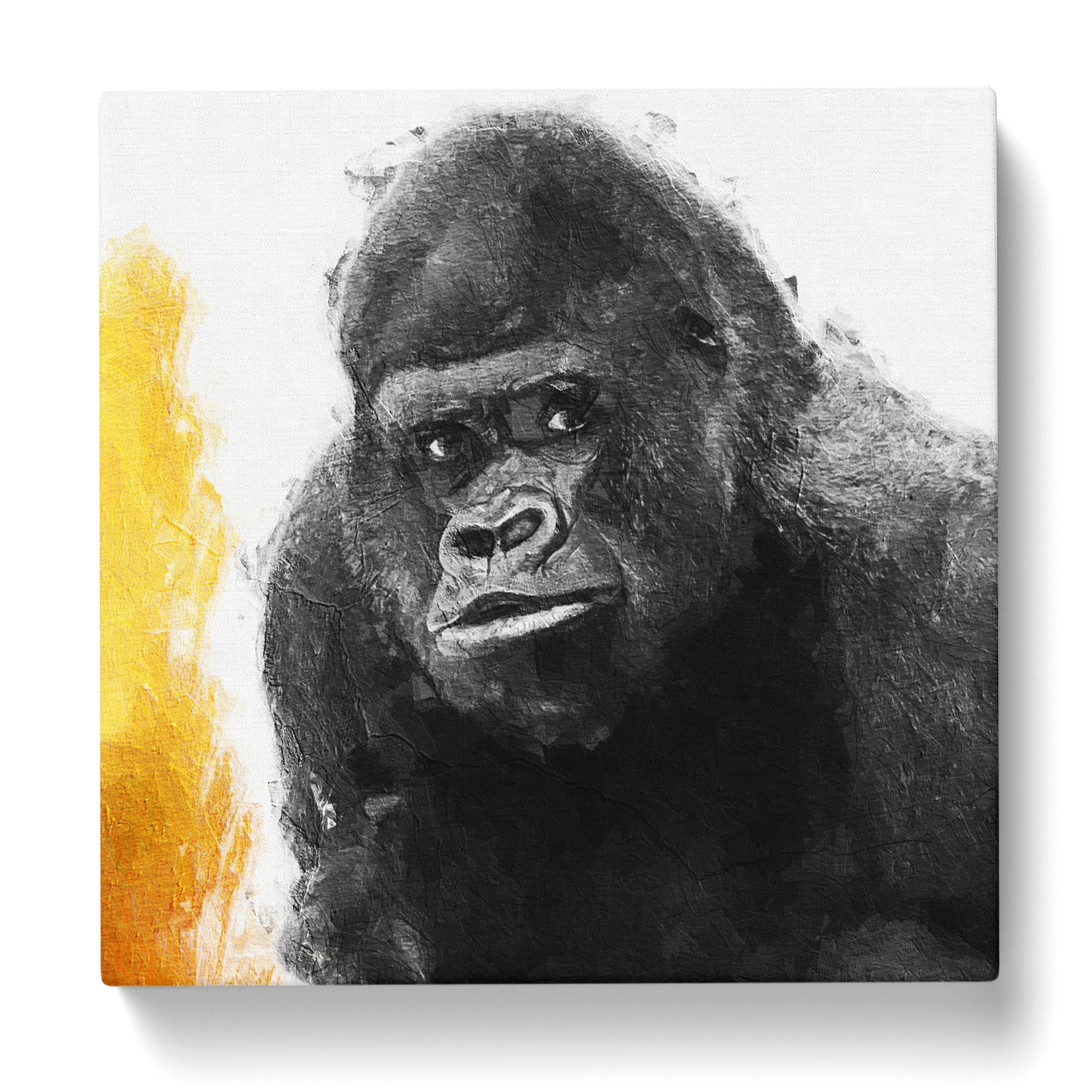 Silverback Gorilla with Golden Flash Canvas Print, Mixed, 35L x 35W cm - Image 3