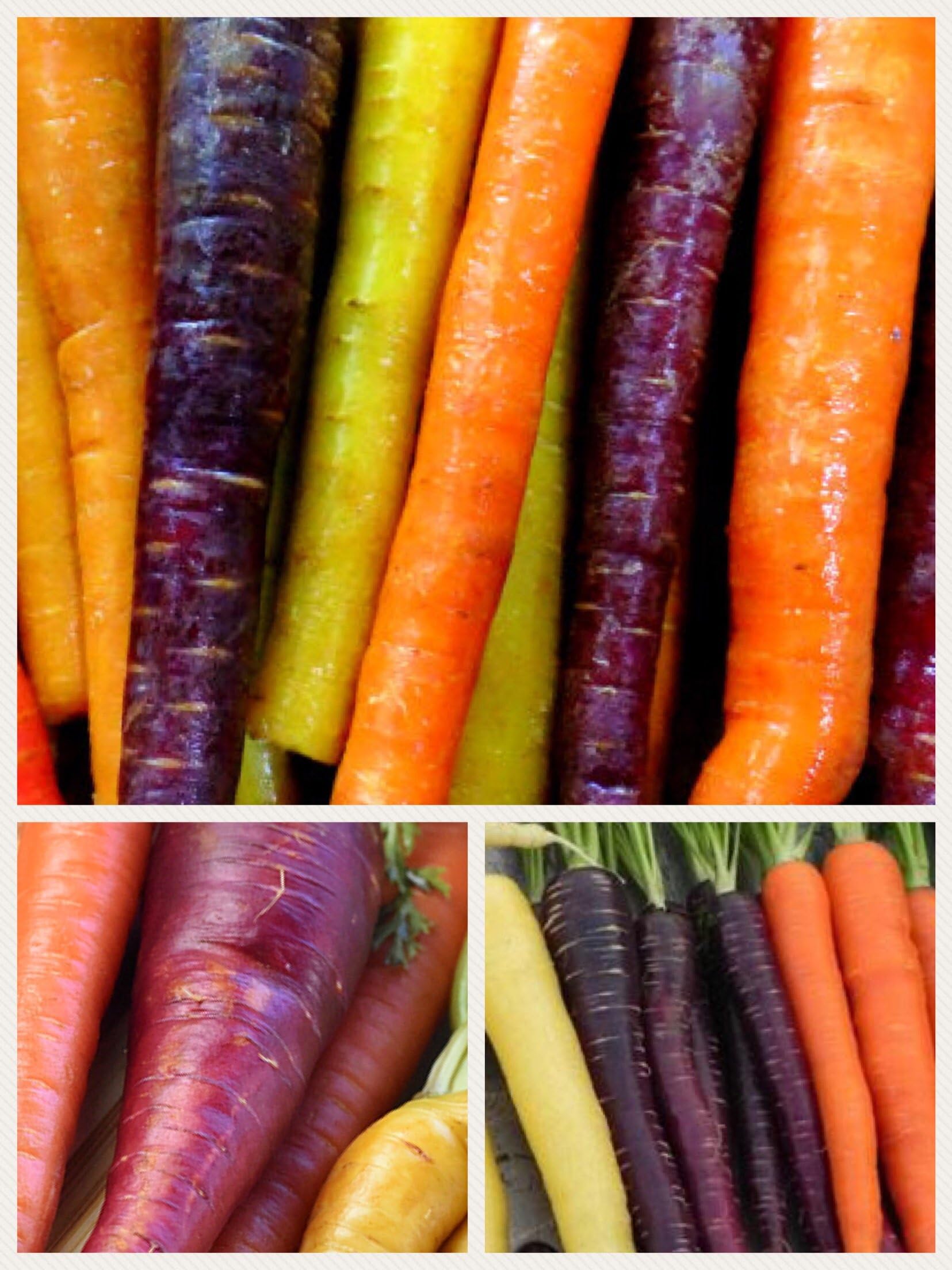 Homegrown Carrot Seeds, 1000 Seeds, Rainbow Supreme Carrot Mixture No GMO