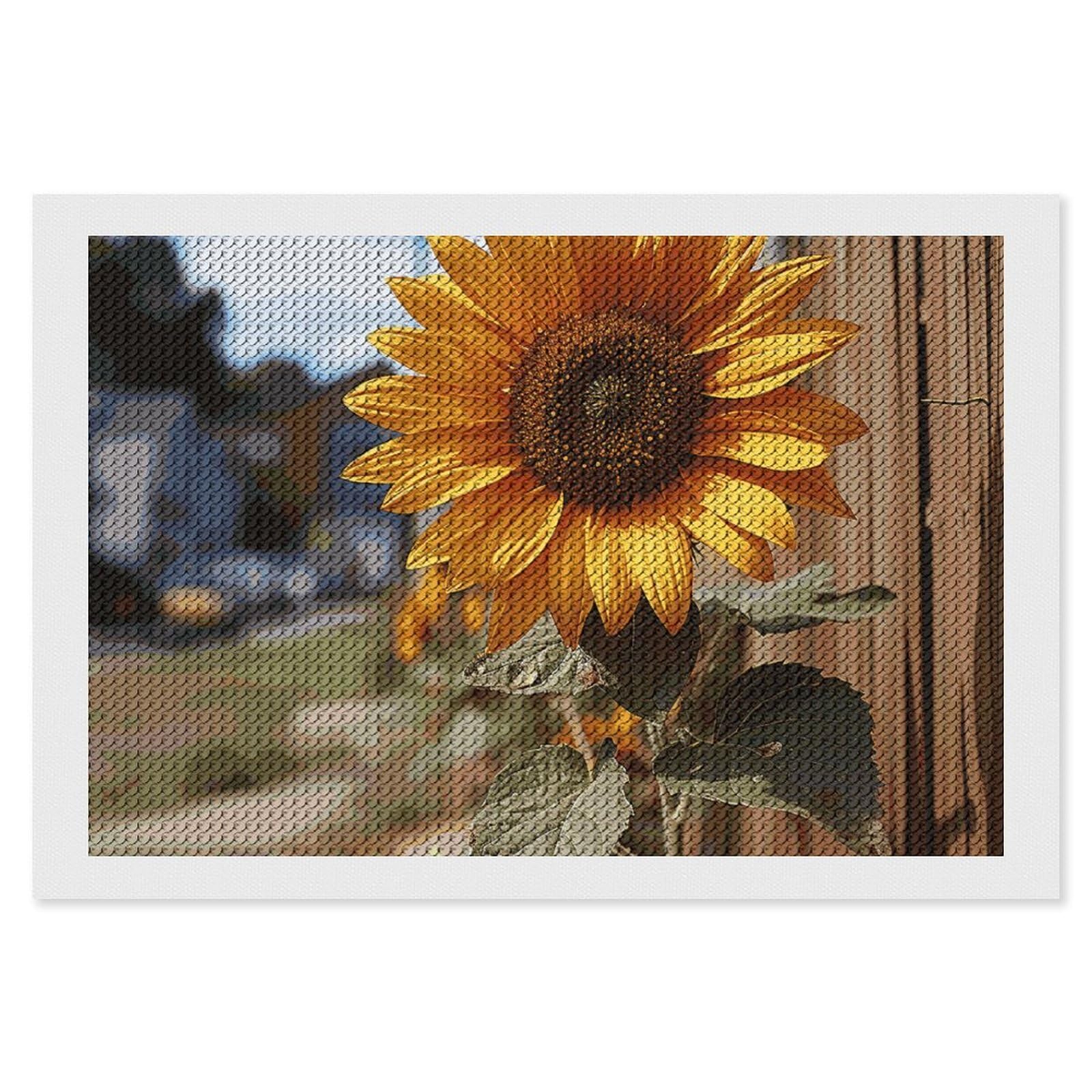 NONHAI Diamond Painting Kits for Adults - DIY Diamond Art Kits for Beginners - Full 5D Paint Drill Diamond Dots Paintings- Farm Sunflower Diamonds Pictures Gem Art and Craft Wall Decor 8"x12"