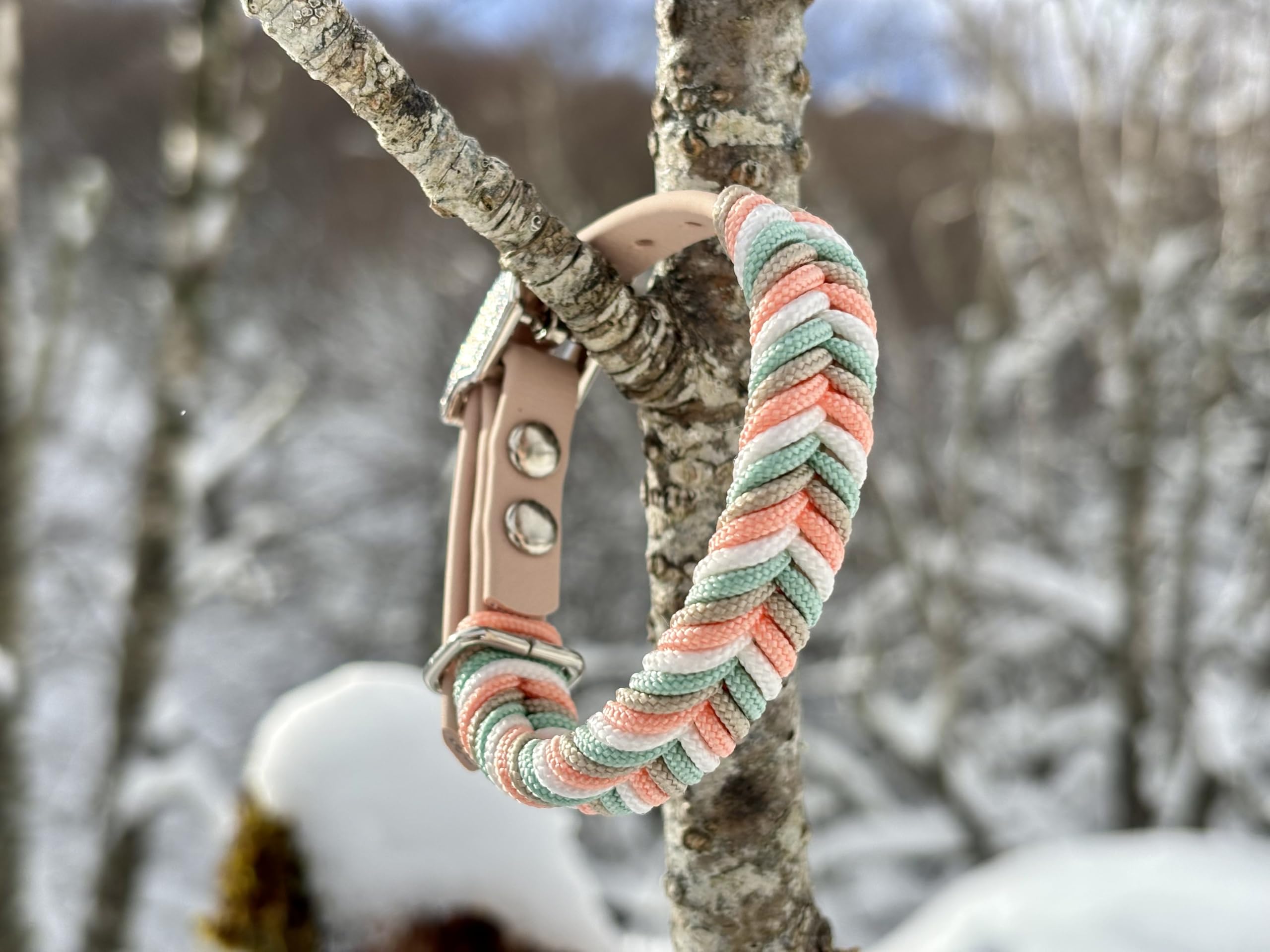 Collar Perro Pequeño, Collar para Perros de Biothane y Paracord con Acero Inoxidable, Pulsera a Juego, Hecho a Mano en España, Impermeable Ajustable y Duradero (Ama, S)