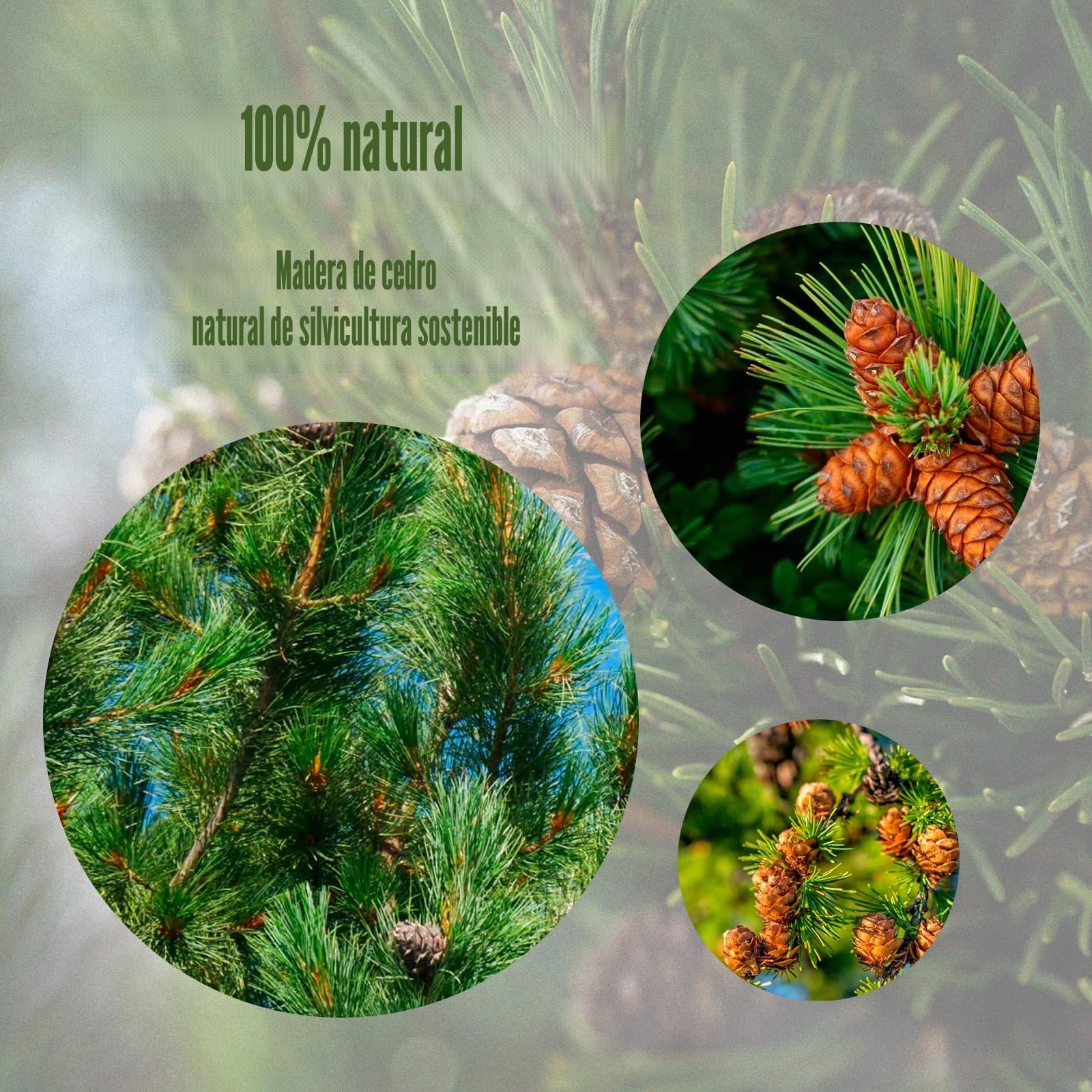 JAMATA Anillos de Cedro Antipolillas Natural 60 Piezas, Cedro Rojo Aromático 100% Orgánico para Armarios, Perchas y Cajones, Protección Duradera y Ecológica contra Polillas y Humedad,anti mites