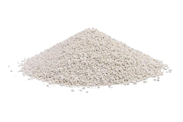 Foto 4 de 7 de Sanicat Flor de Loto Blanca Activa 10 L