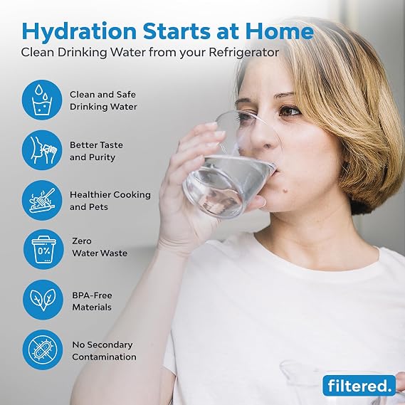 Replacement Water Filter set for the filtered. Inline Water Filter System