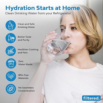 Replacement Water Filter set for the filtered. Inline Water Filter System